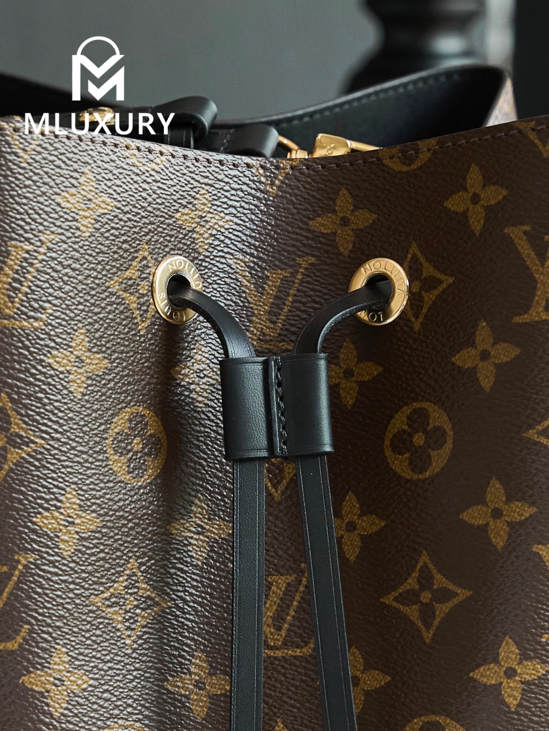 LOUIS VUITTON 𝐍É𝐎𝐍𝐎É Medium Handbag