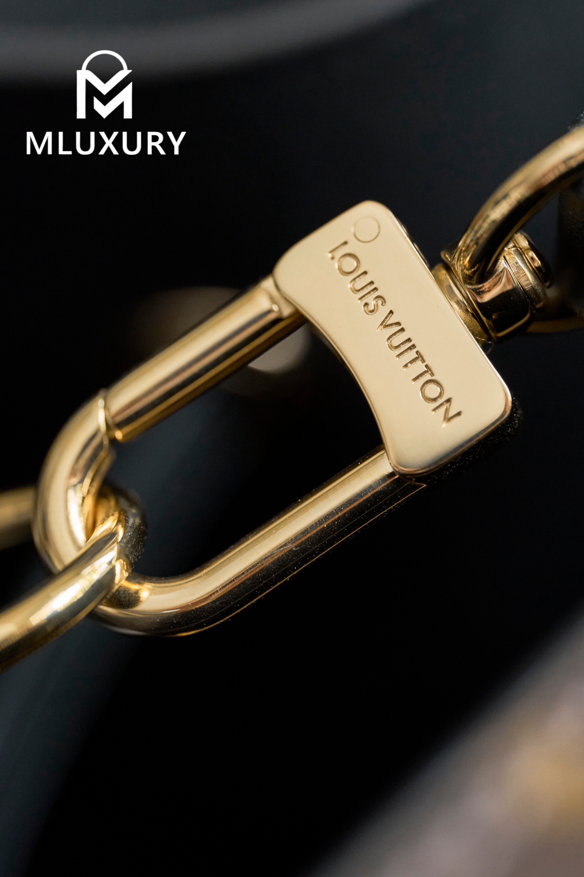 LOUIS VUITTON 𝐍É𝐎𝐍𝐎É Medium Handbag