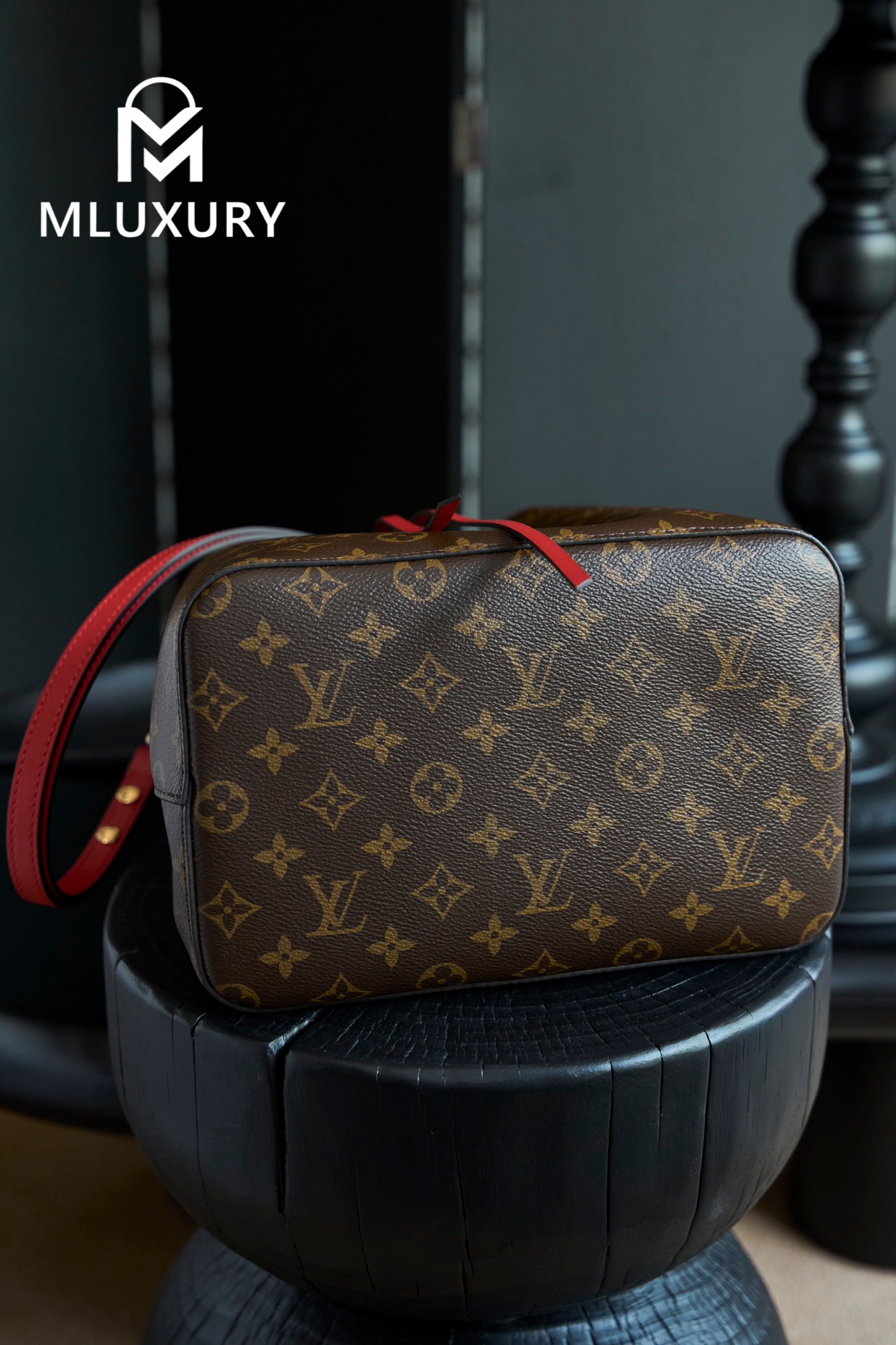 LOUIS VUITTON 𝐍É𝐎𝐍𝐎É Medium Handbag