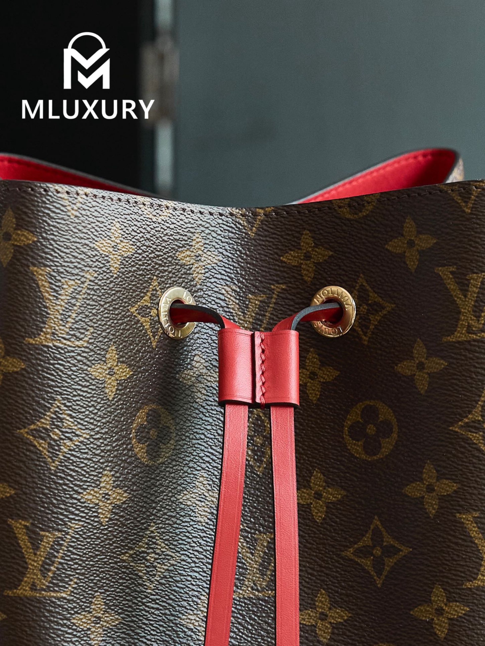 LOUIS VUITTON 𝐍É𝐎𝐍𝐎É Medium Handbag