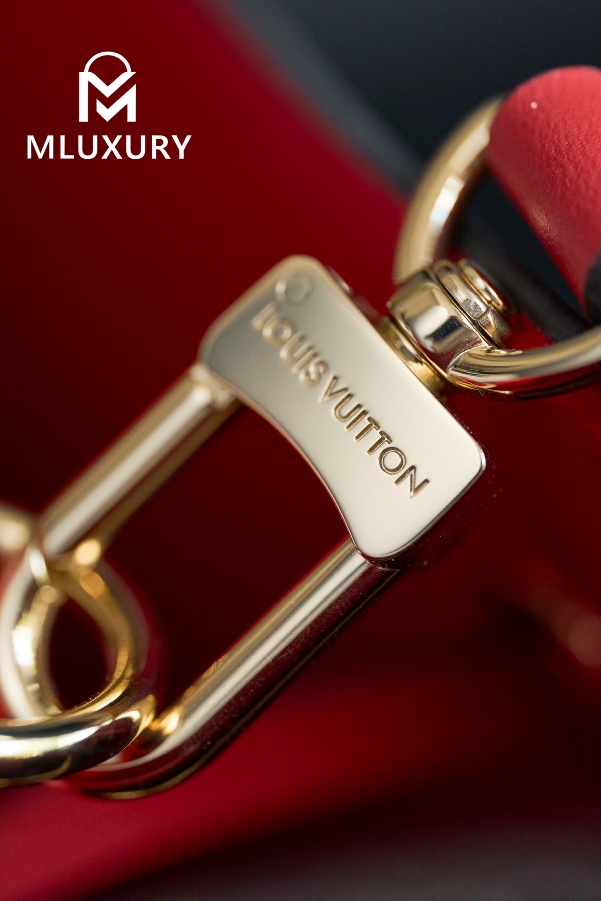 LOUIS VUITTON 𝐍É𝐎𝐍𝐎É Medium Handbag