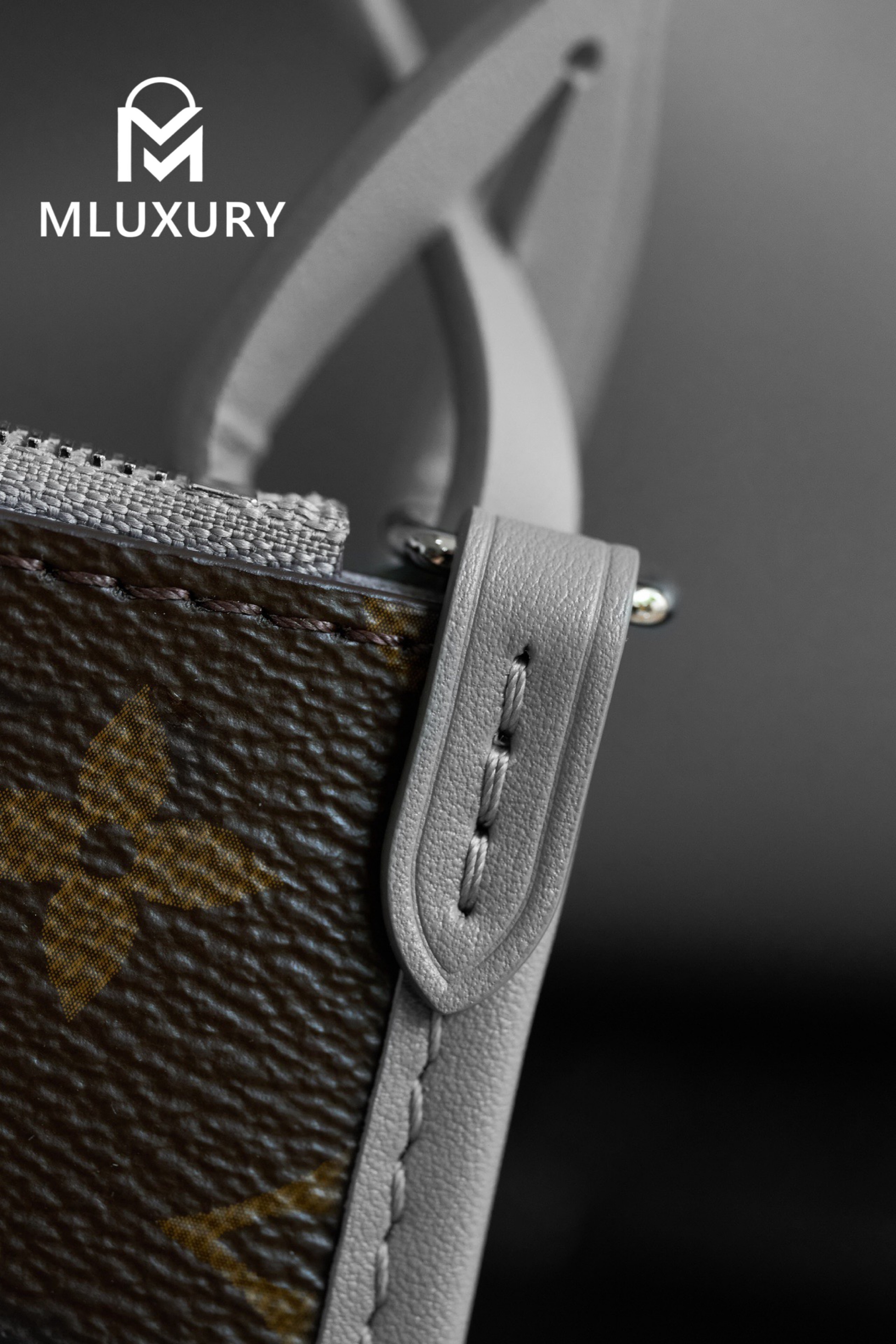 LOUIS VUITTON CARRYALL DARK Medium Handbag