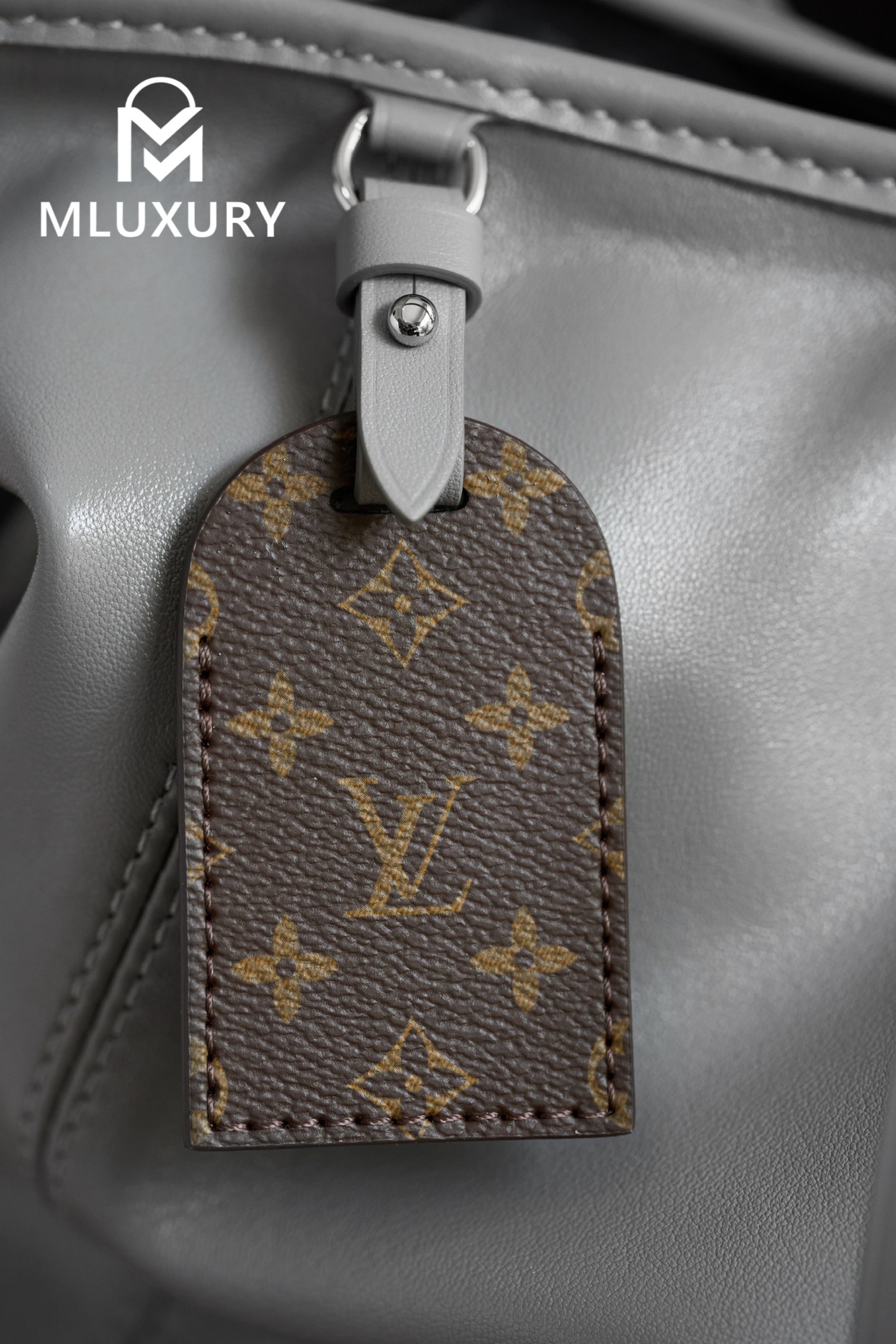 LOUIS VUITTON CARRYALL DARK Medium Handbag