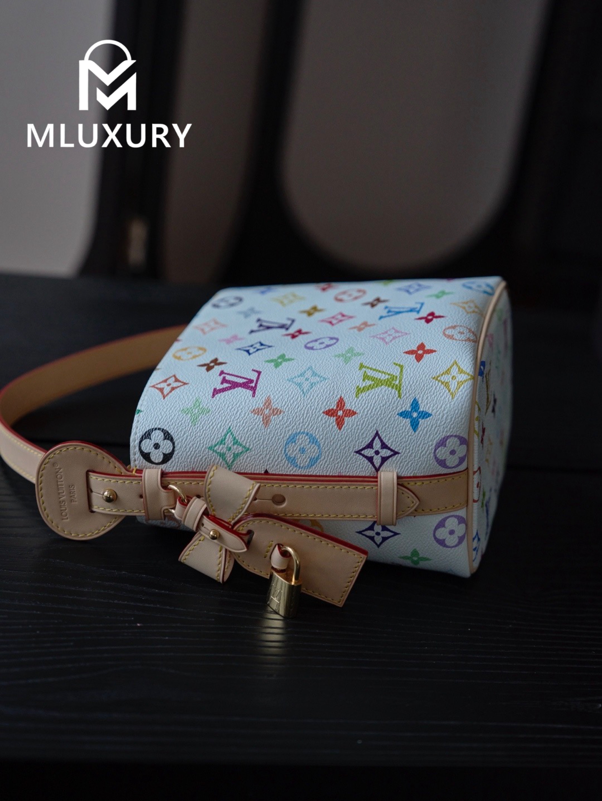 LOUIS VUITTON ALL IN BB Handbag