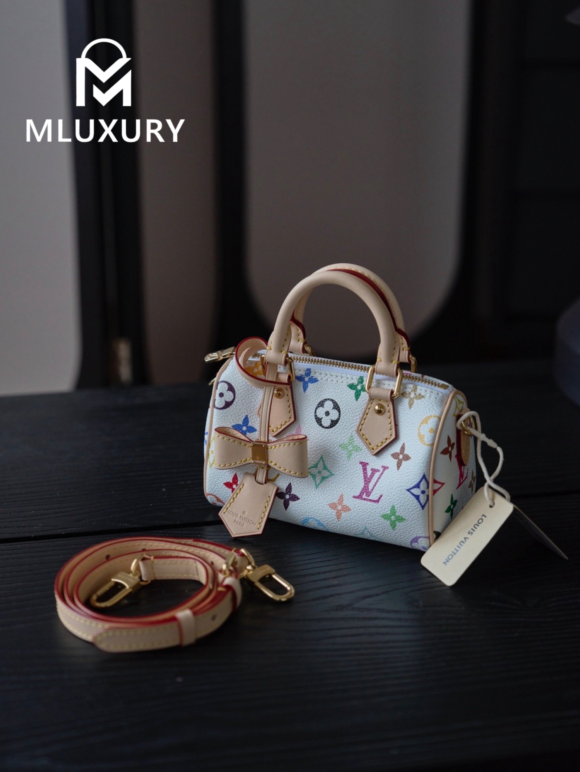LOUIS VUITTON NANO SPEEDY Handbag