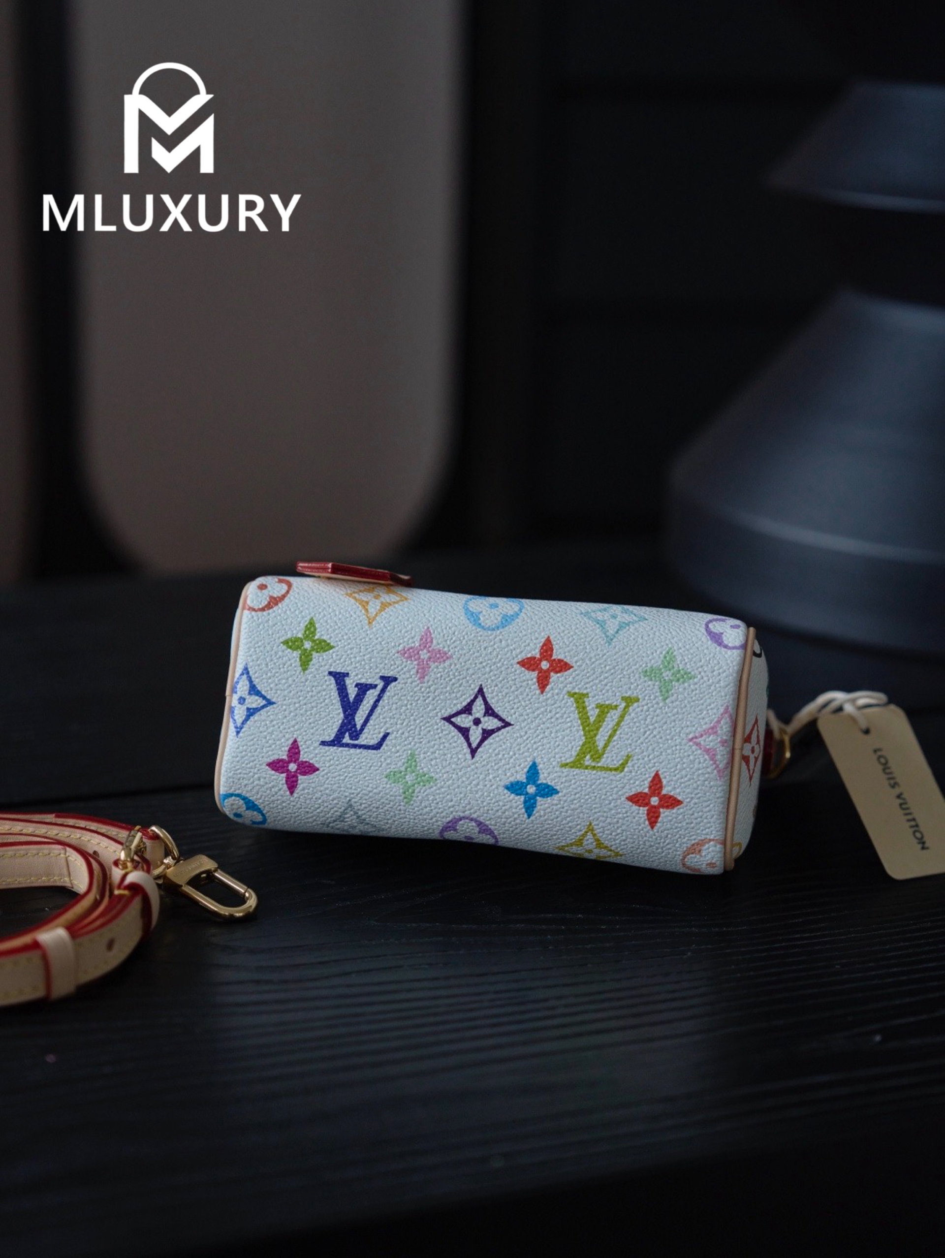 LOUIS VUITTON NANO SPEEDY Handbag
