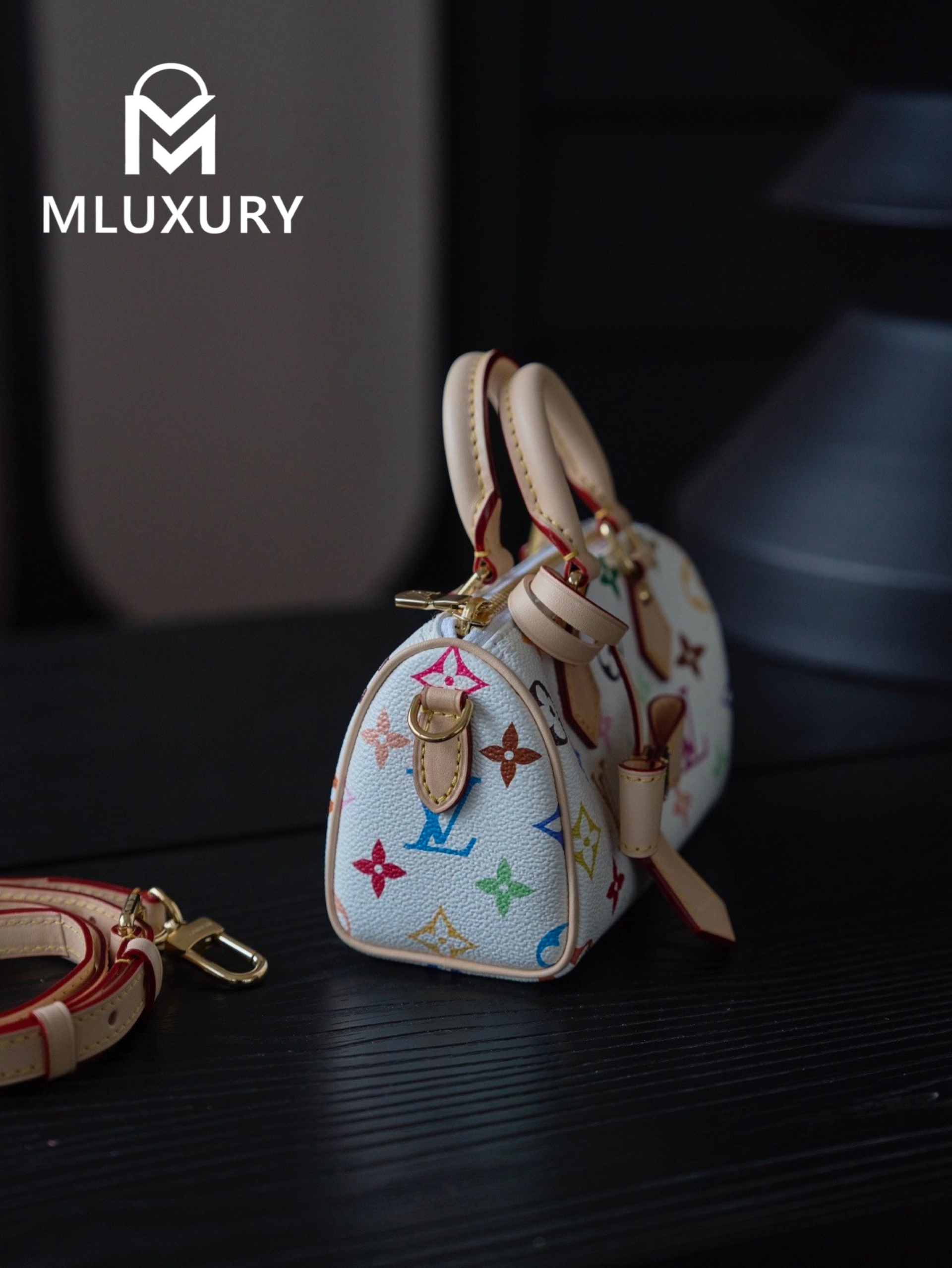 LOUIS VUITTON NANO SPEEDY Handbag