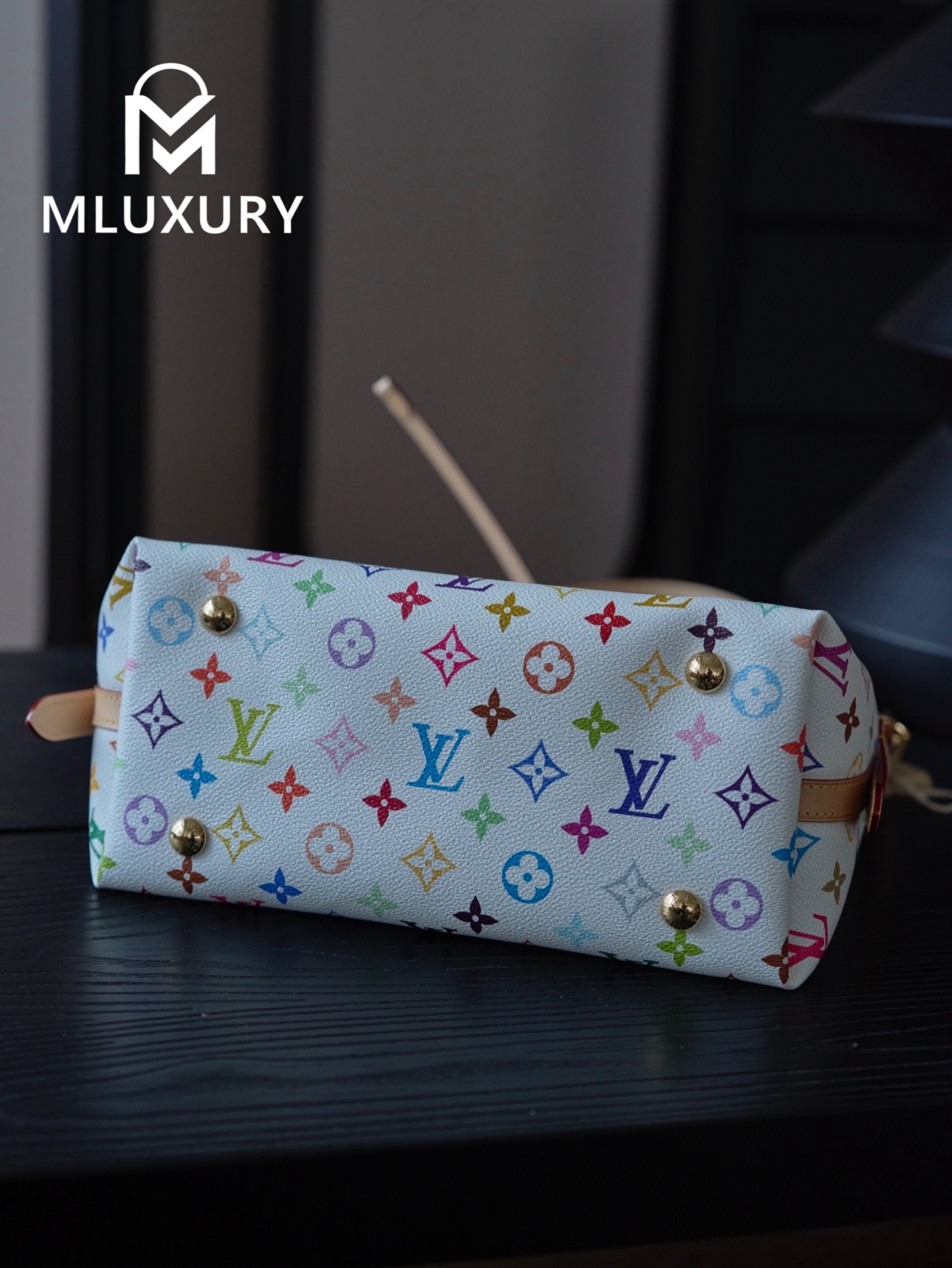 LOUIS VUITTON CARRYALL (small size)