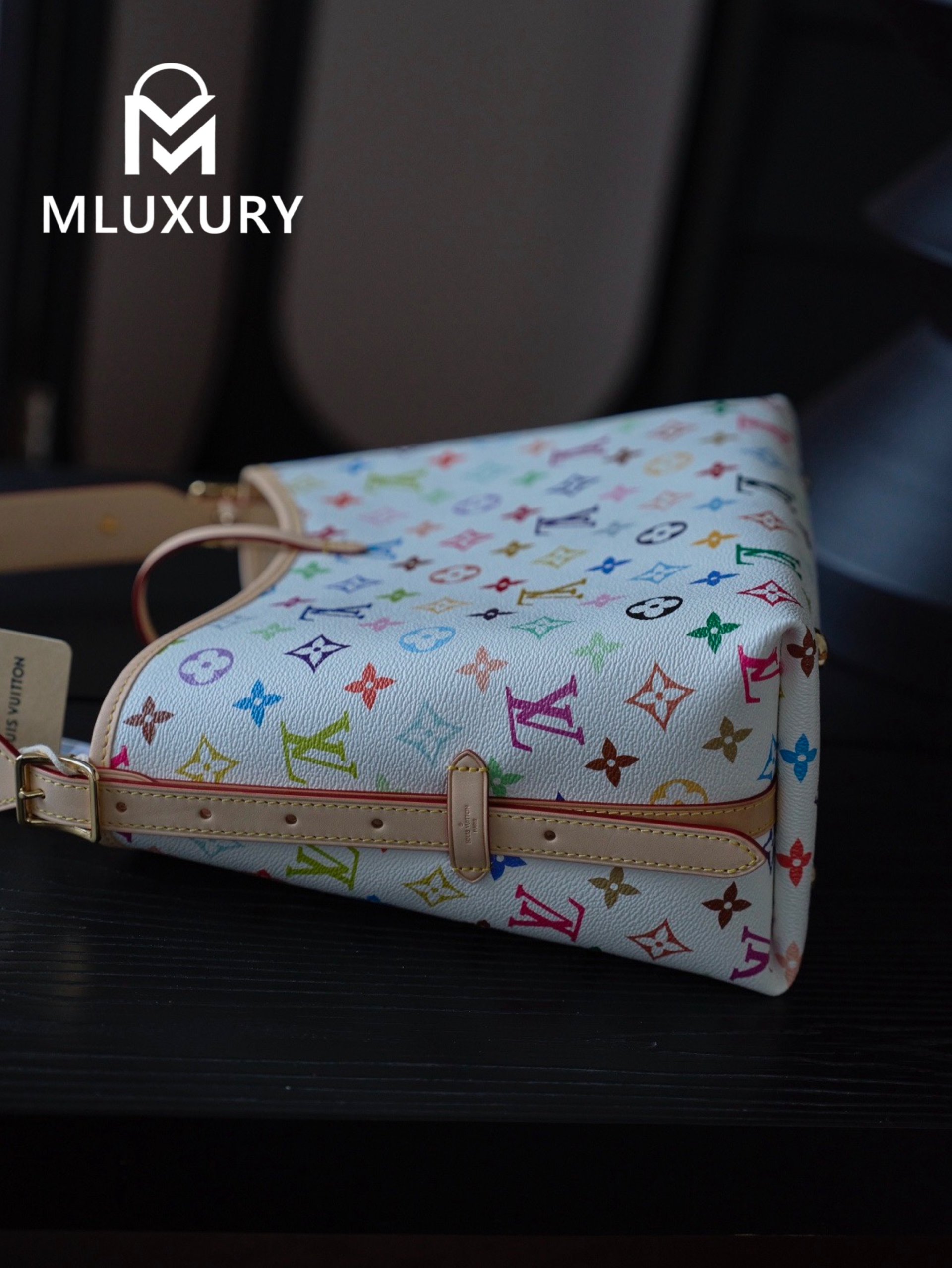 LOUIS VUITTON CARRYALL (small size)