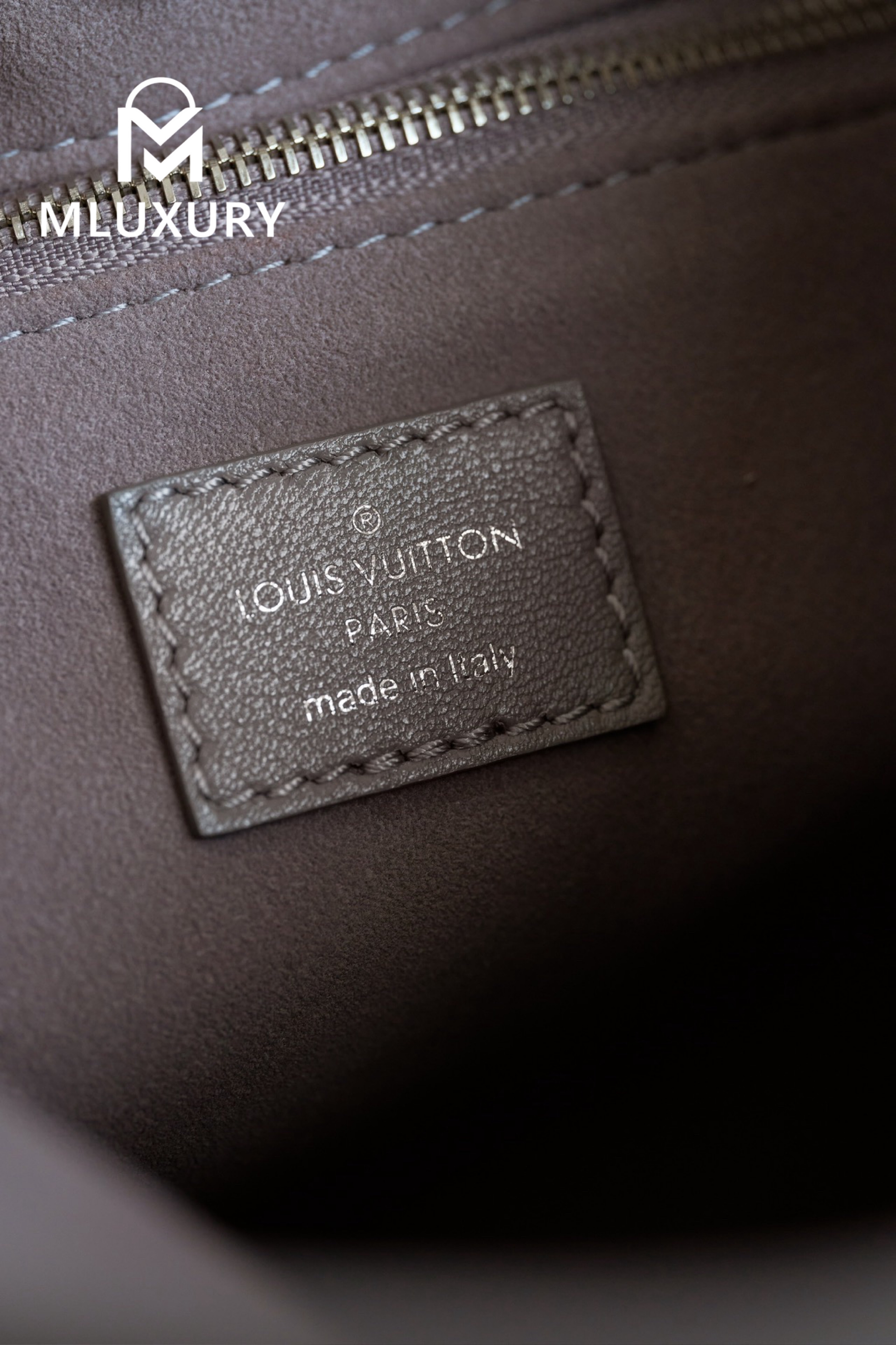 LOUIS VUITTON CARRYFULL DARK (small size)