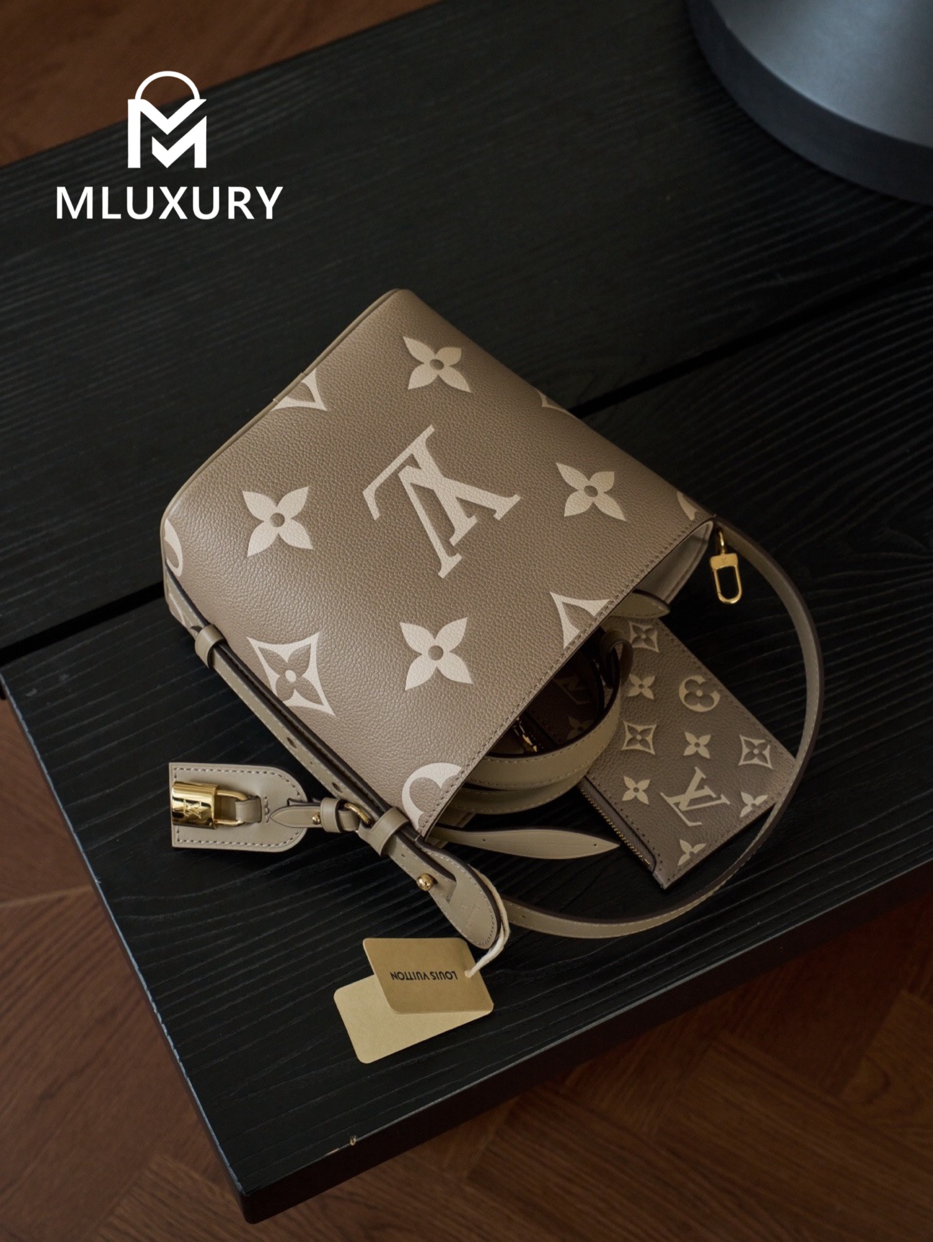 LOUIS VUITTON ALL IN BB