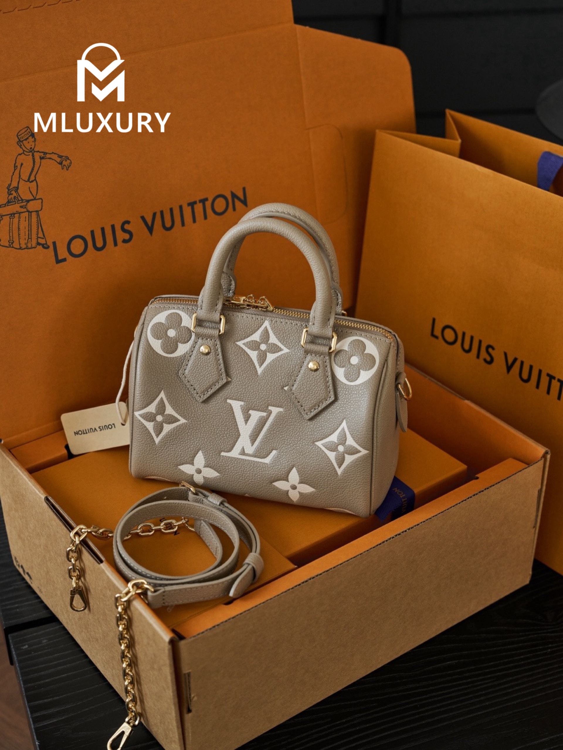 LOUIS VUITTON SPEEDY BANDOULIERE 20 Elephant Grey