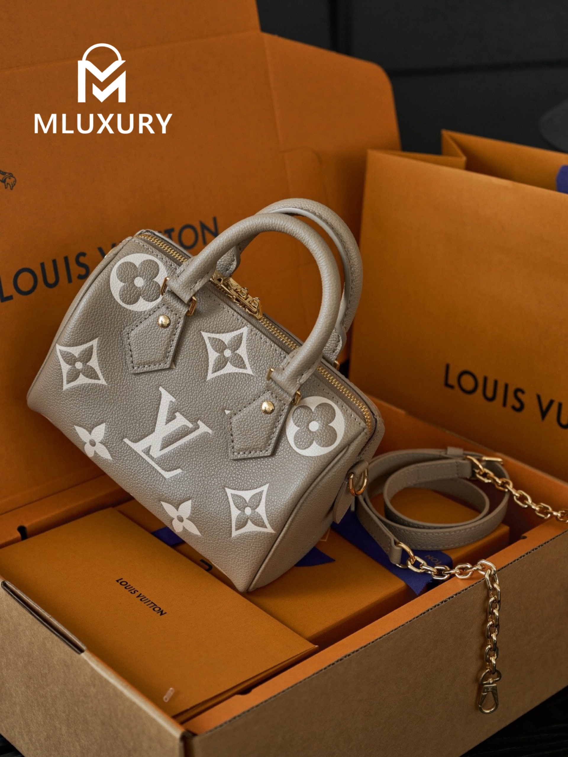 LOUIS VUITTON SPEEDY BANDOULIERE 20 Elephant Grey