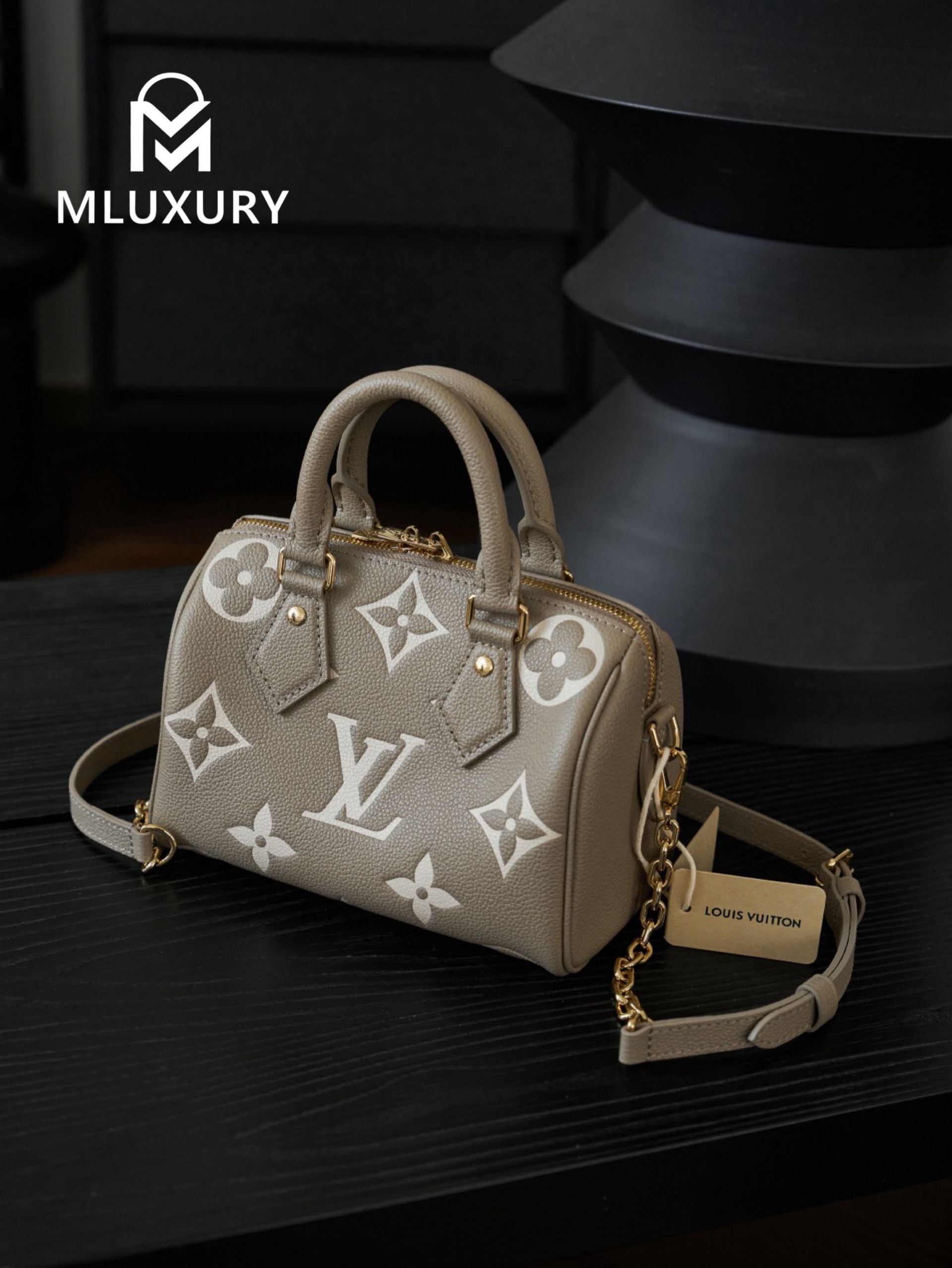LOUIS VUITTON SPEEDY BANDOULIERE 20 Elephant Grey