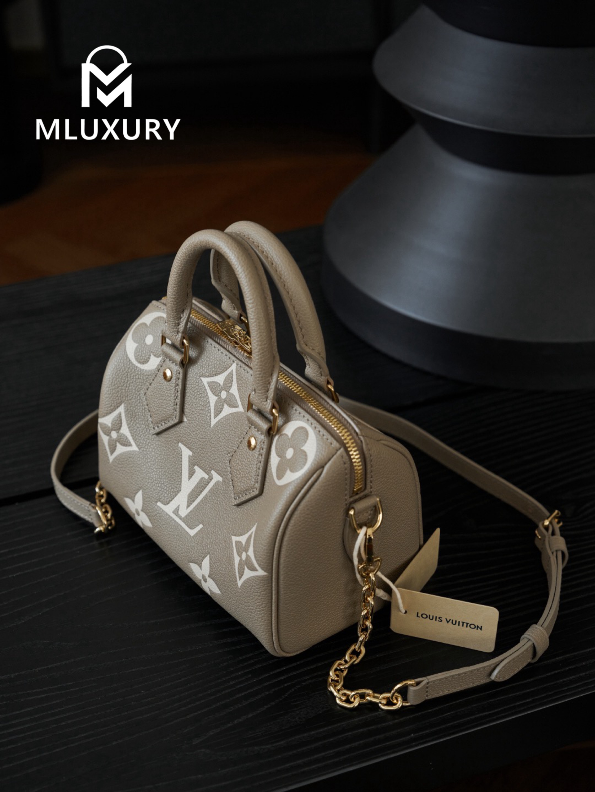 LOUIS VUITTON SPEEDY BANDOULIERE 20 Elephant Grey