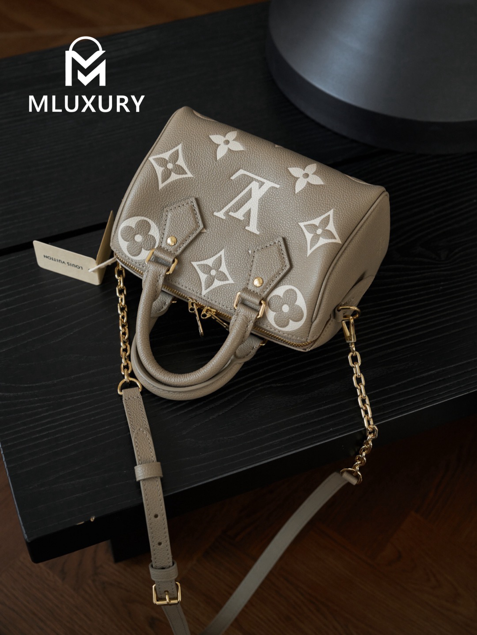 LOUIS VUITTON SPEEDY BANDOULIERE 20 Elephant Grey