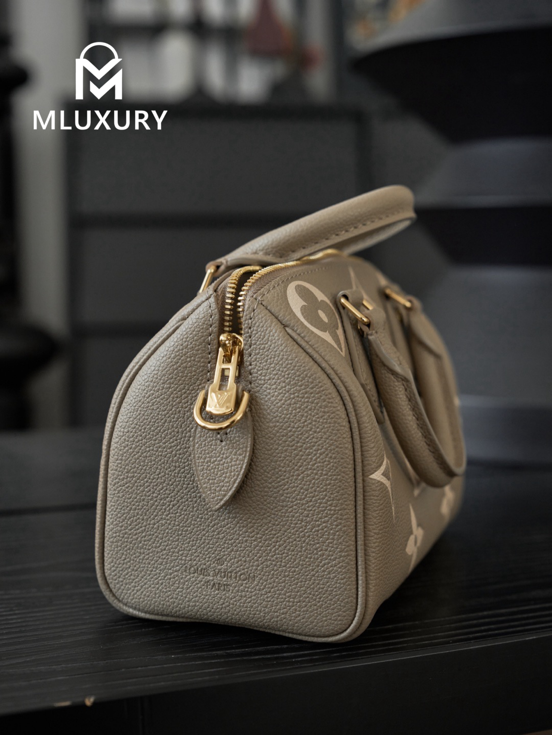 LOUIS VUITTON SPEEDY BANDOULIERE 20 Elephant Grey