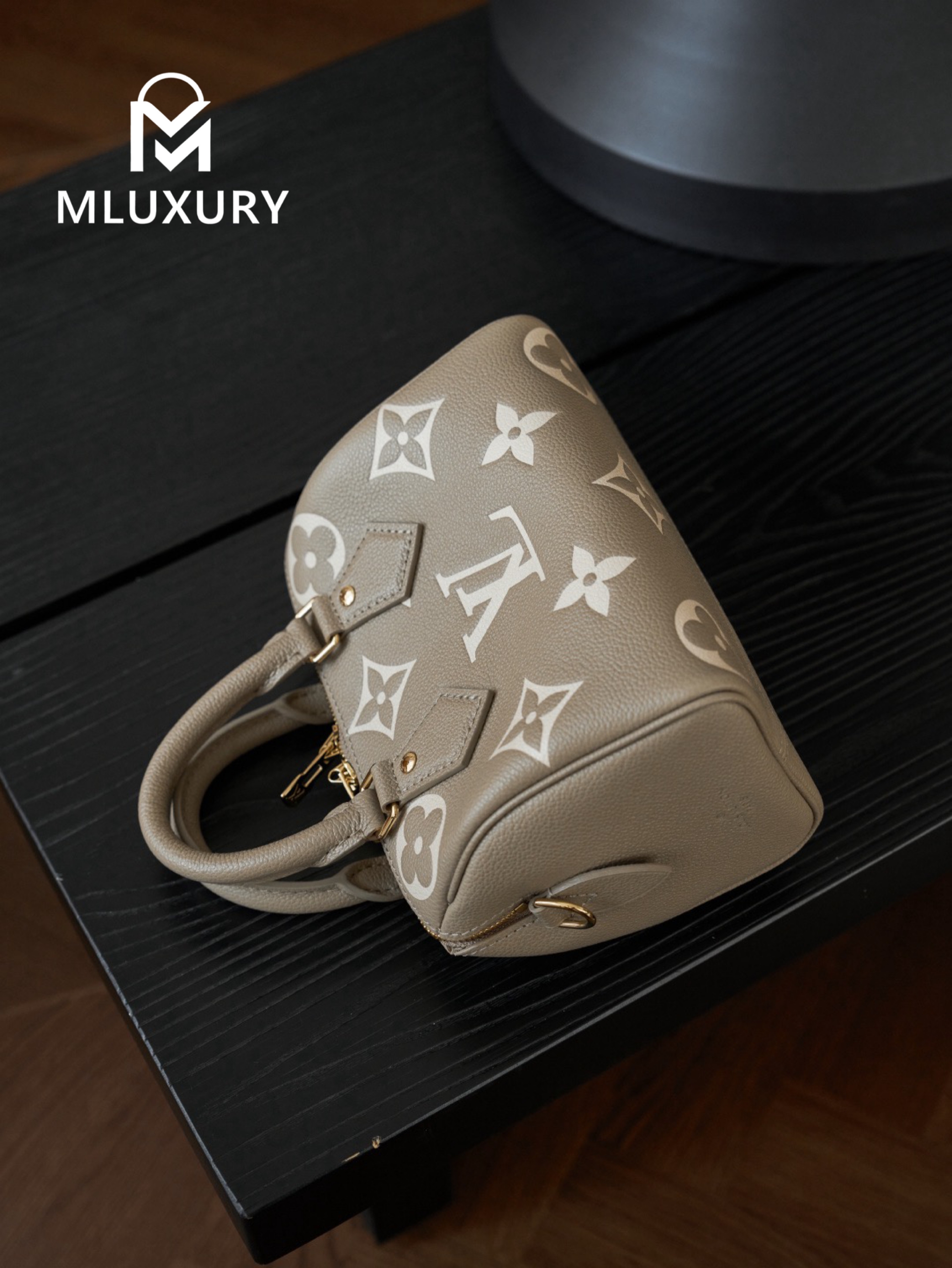 LOUIS VUITTON SPEEDY BANDOULIERE 20 Elephant Grey