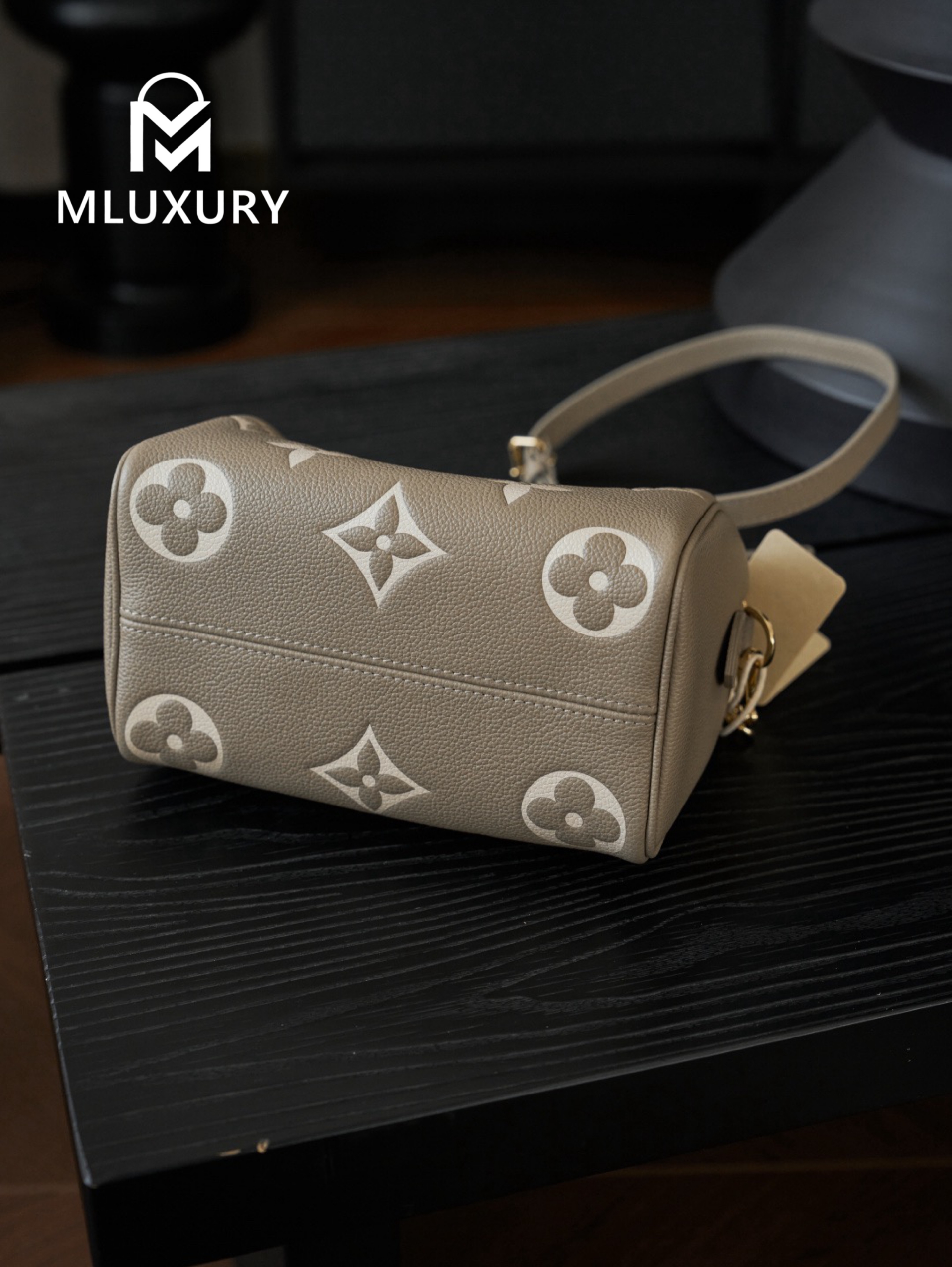 LOUIS VUITTON SPEEDY BANDOULIERE 20 Elephant Grey