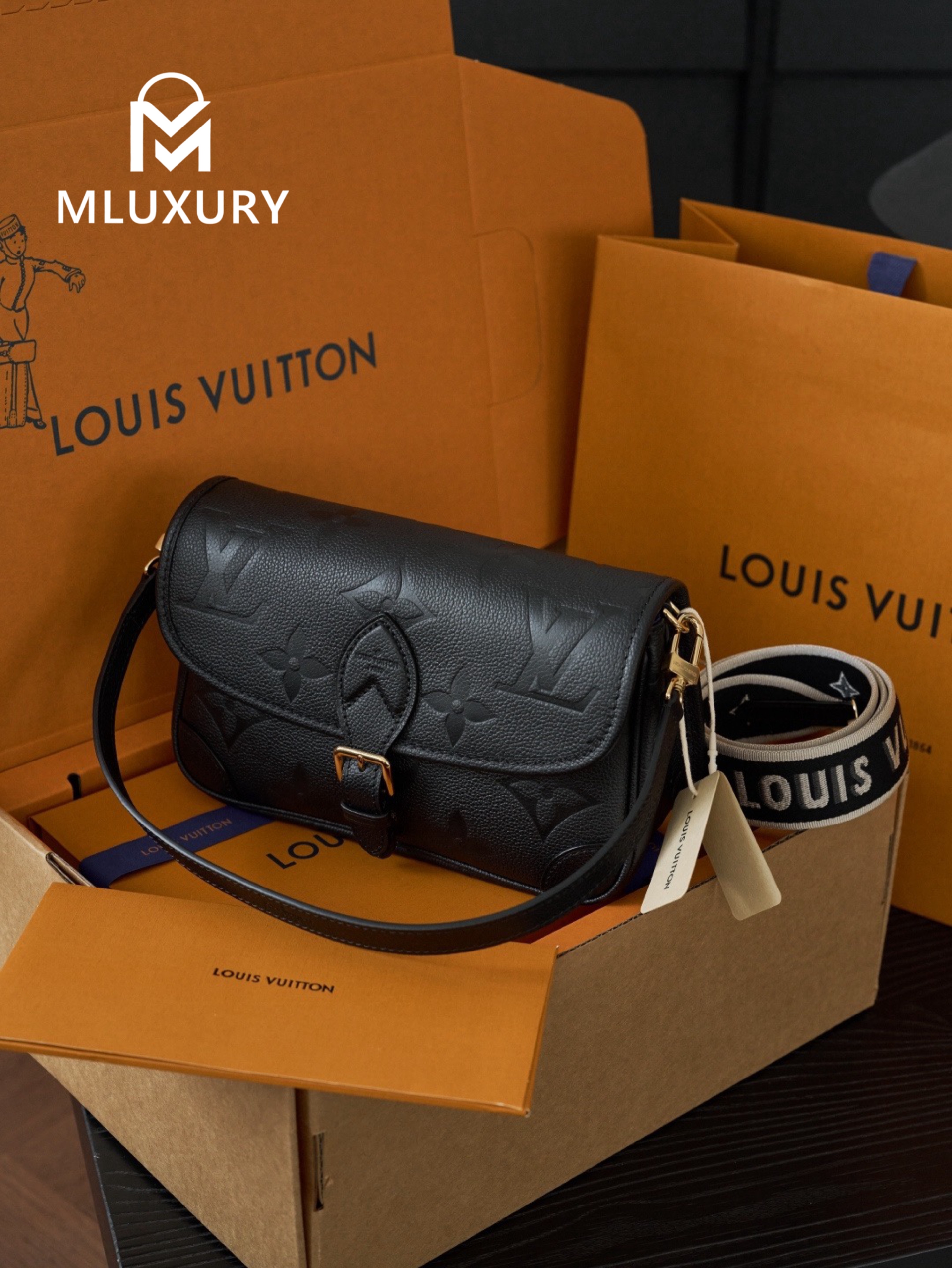 LOUIS VUITTON DIANE Handbag
