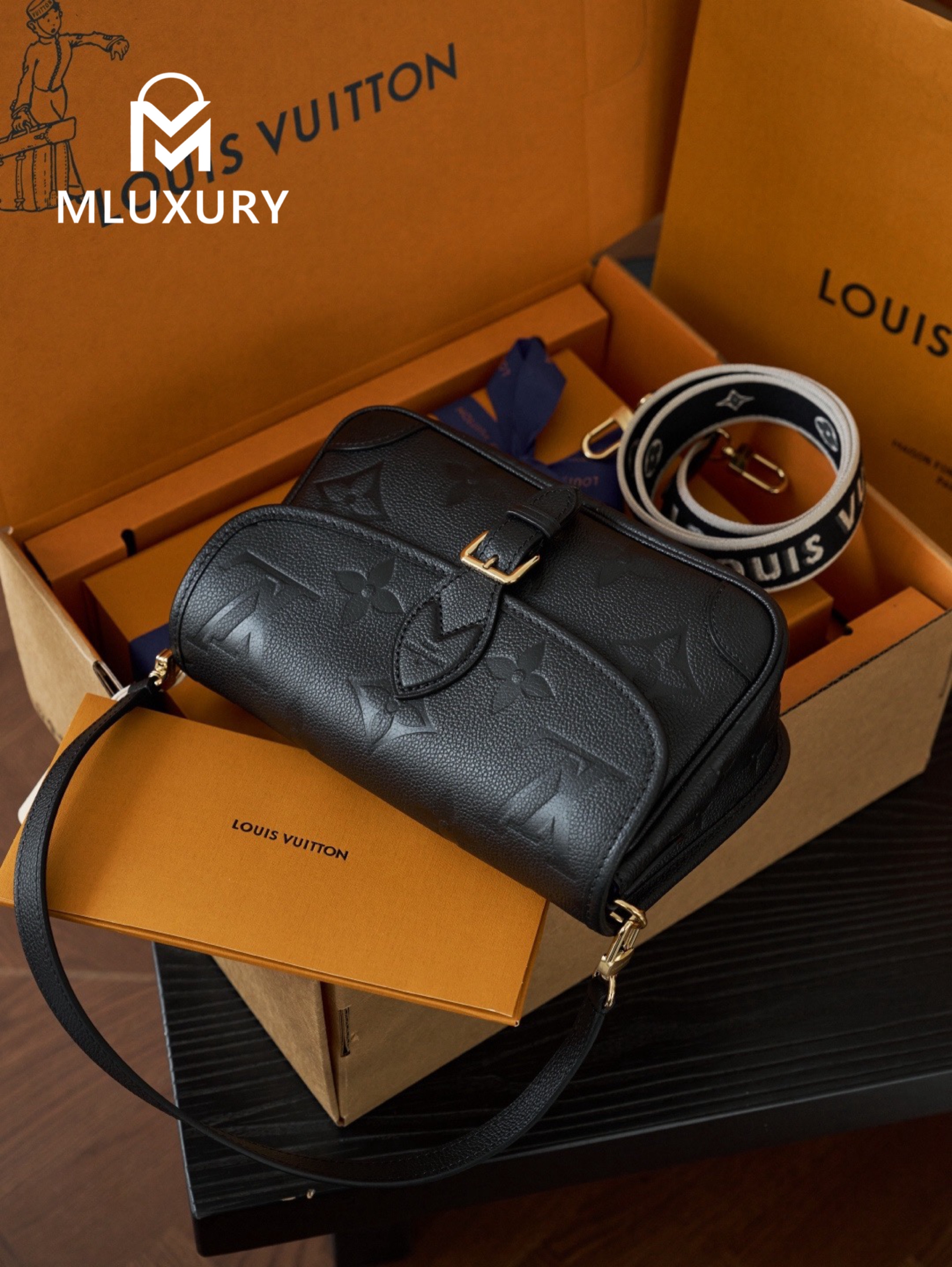 LOUIS VUITTON DIANE Handbag