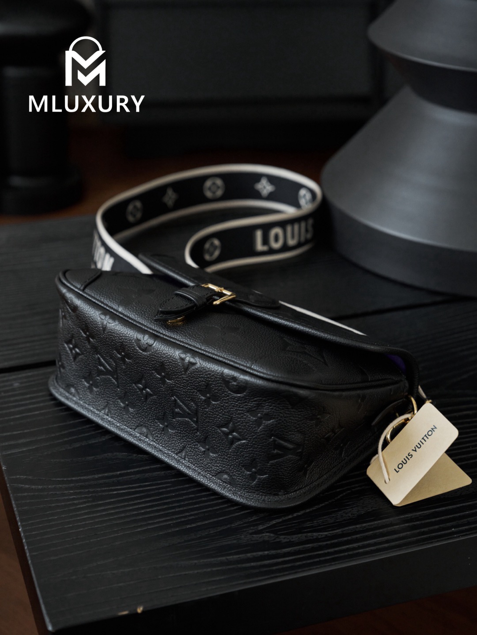 LOUIS VUITTON DIANE Handbag