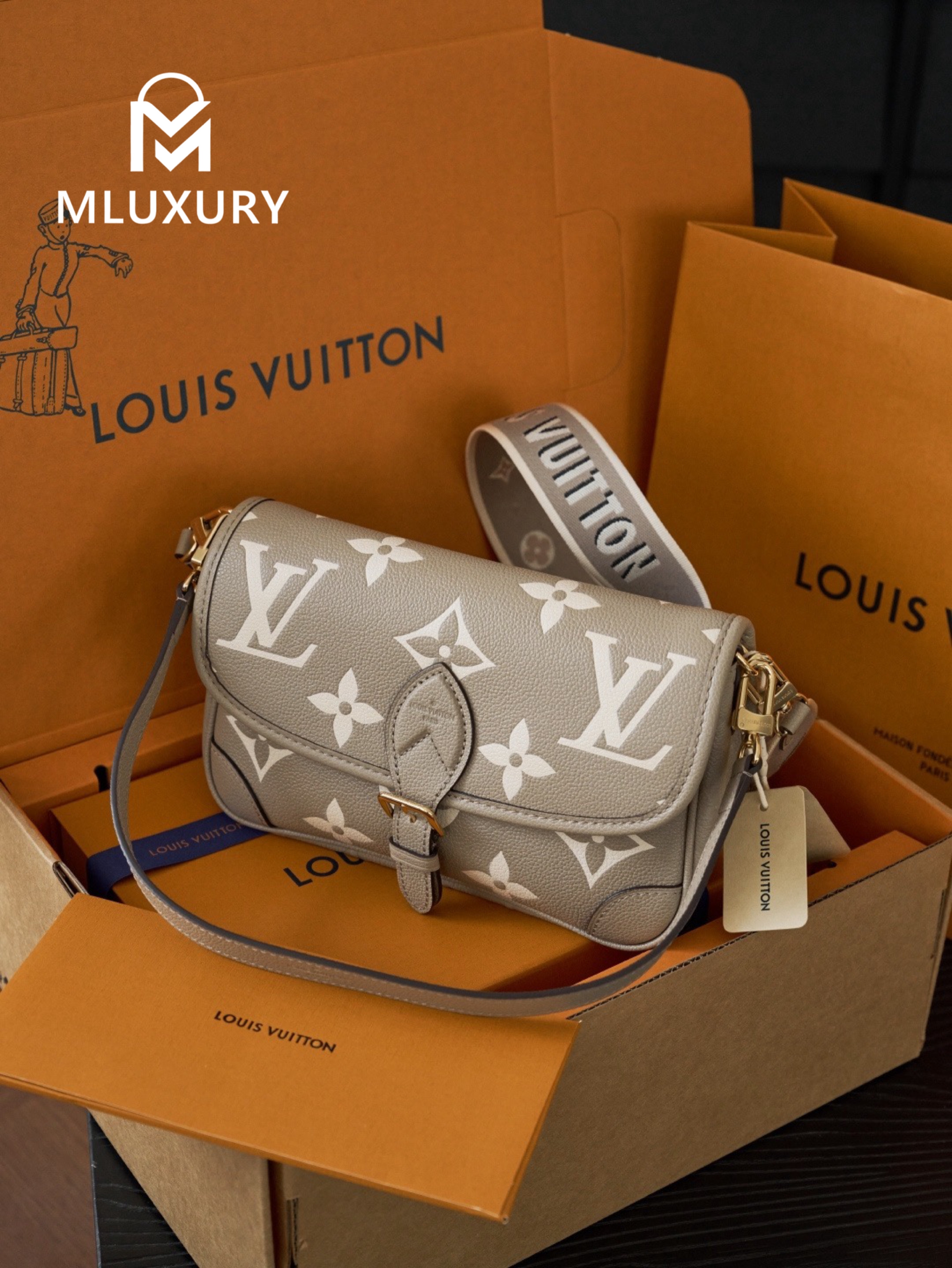 LOUIS VUITTON DIANE Handbag