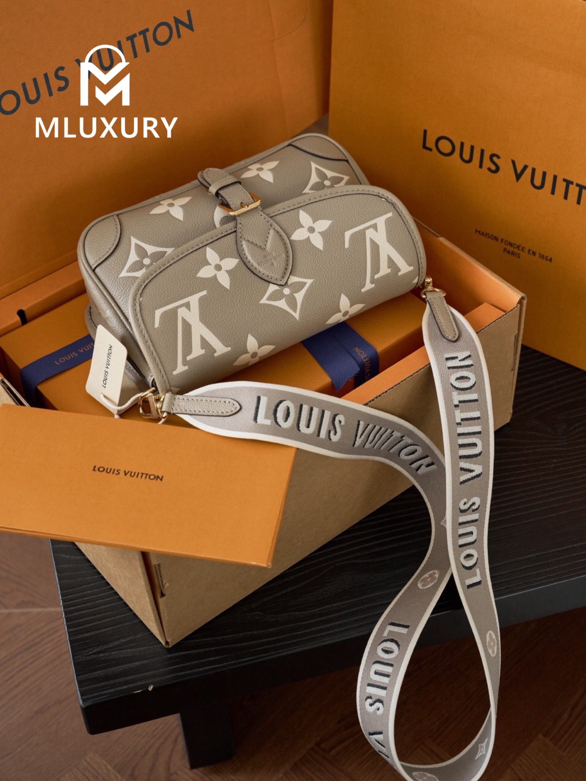 LOUIS VUITTON DIANE Handbag