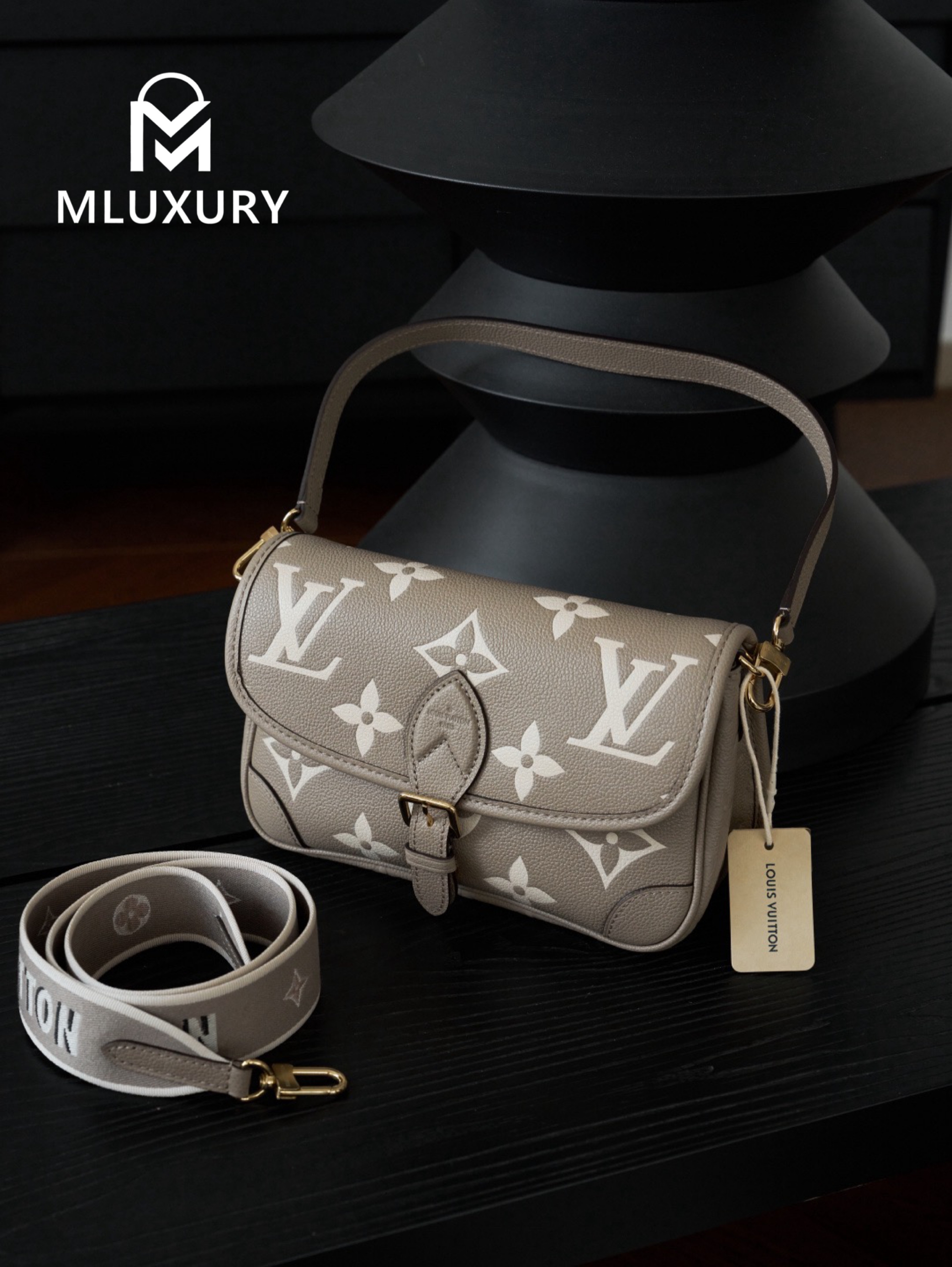 LOUIS VUITTON DIANE Handbag