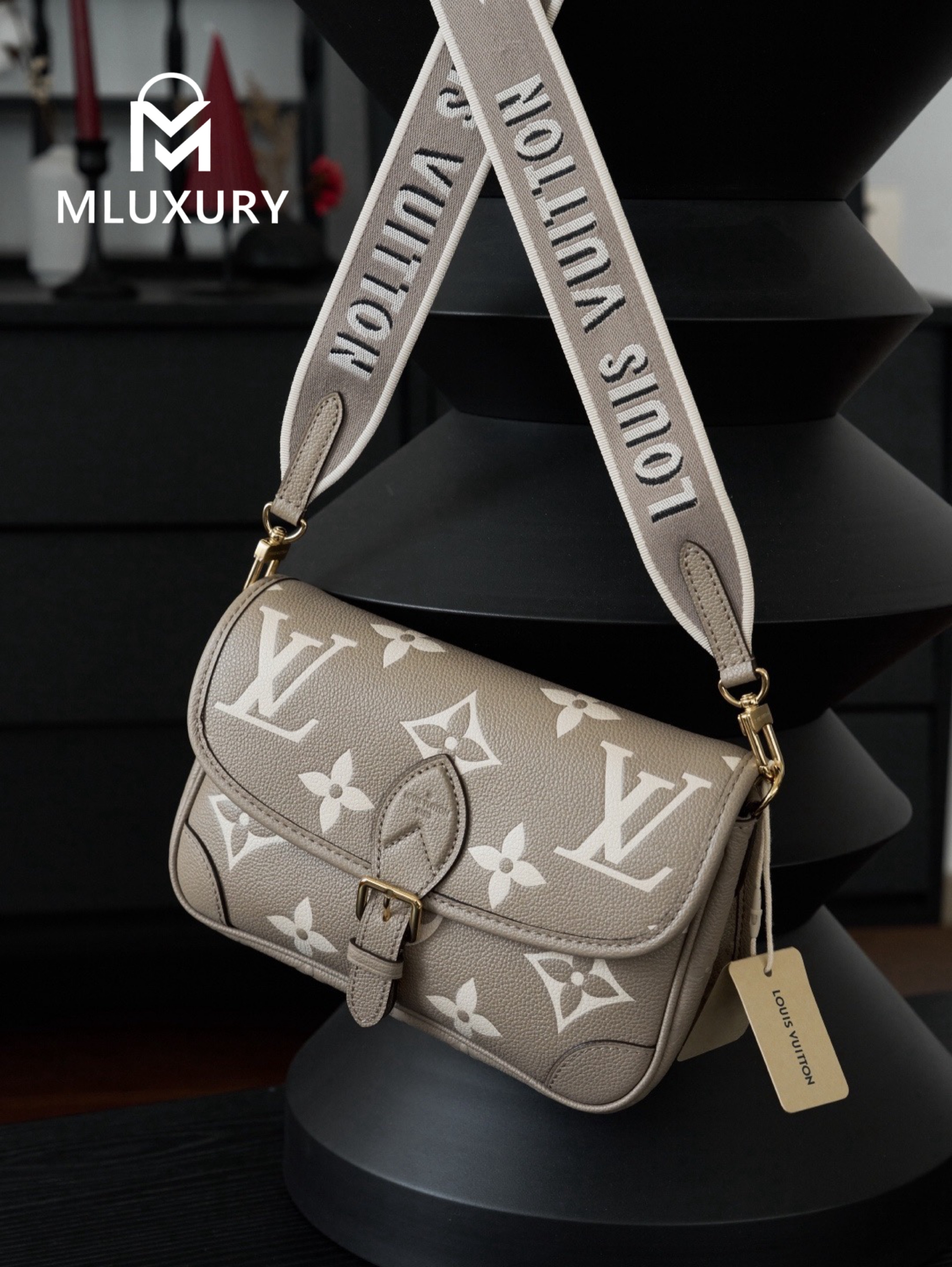 LOUIS VUITTON DIANE Handbag