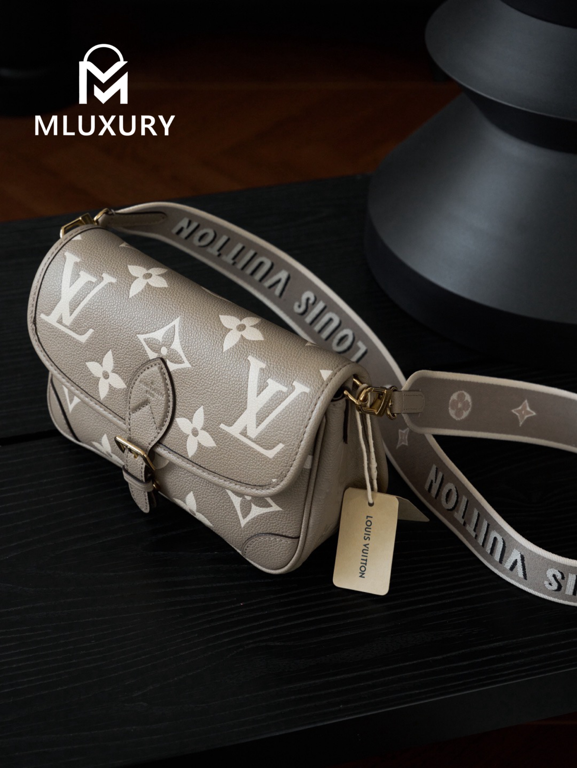 LOUIS VUITTON DIANE Handbag
