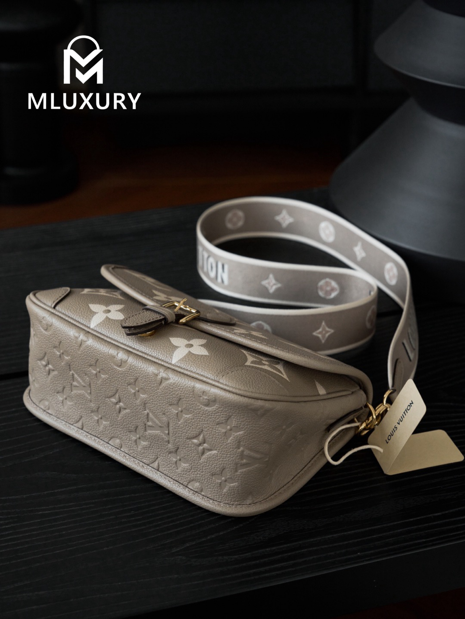 LOUIS VUITTON DIANE Handbag