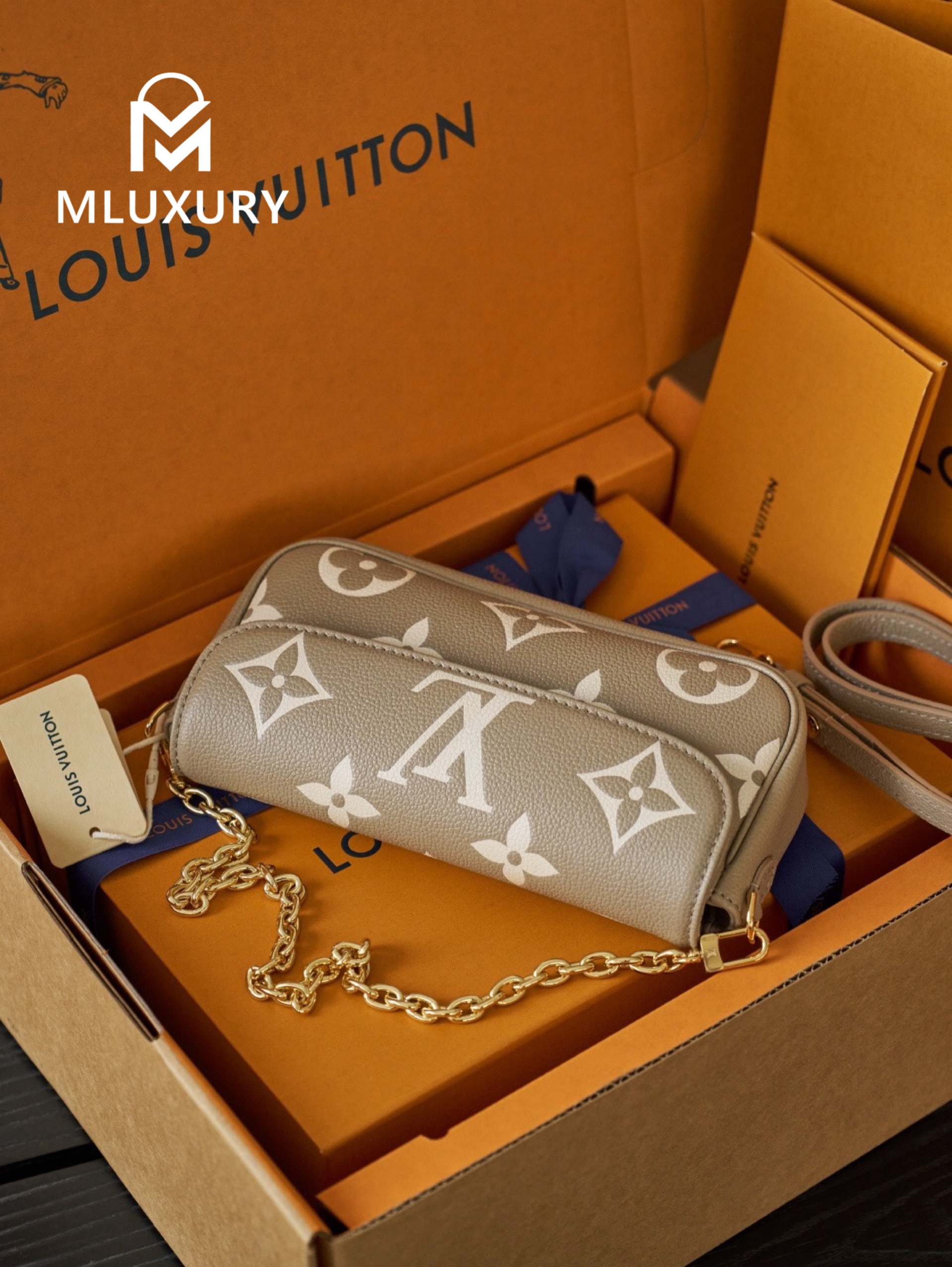 LOUIS VUITTON WALLET ON CHAIN ​​IVY ,Elephant Grey , Calfskin