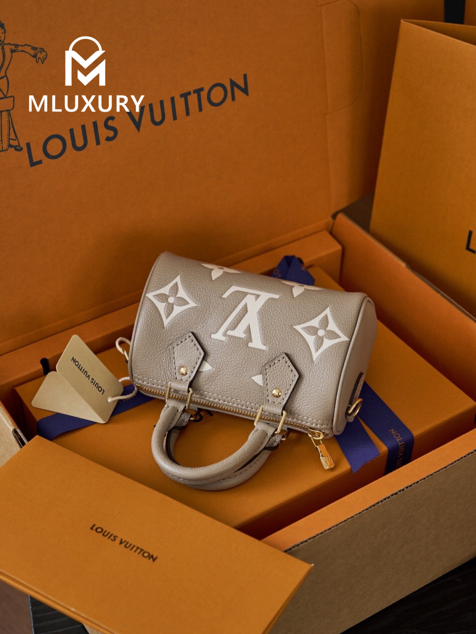 LOUIS VUITTON NANO SPEEDY Handbag, Elephant Grey
