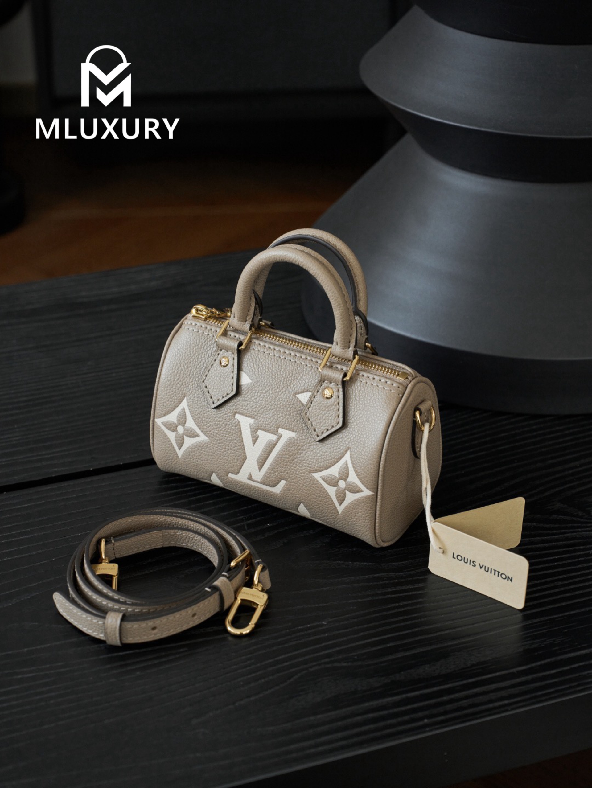 LOUIS VUITTON NANO SPEEDY Handbag, Elephant Grey