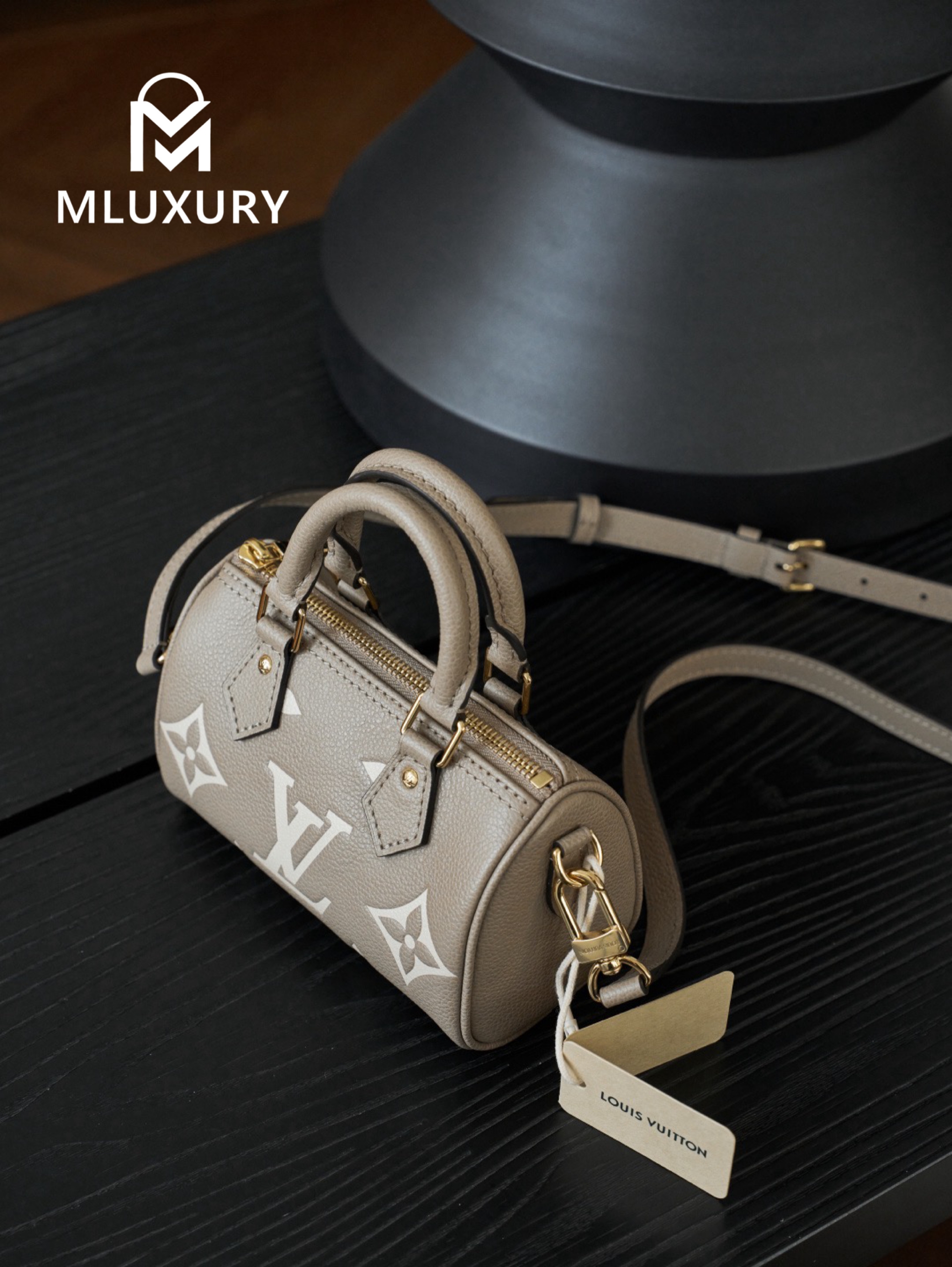 LOUIS VUITTON NANO SPEEDY Handbag, Elephant Grey