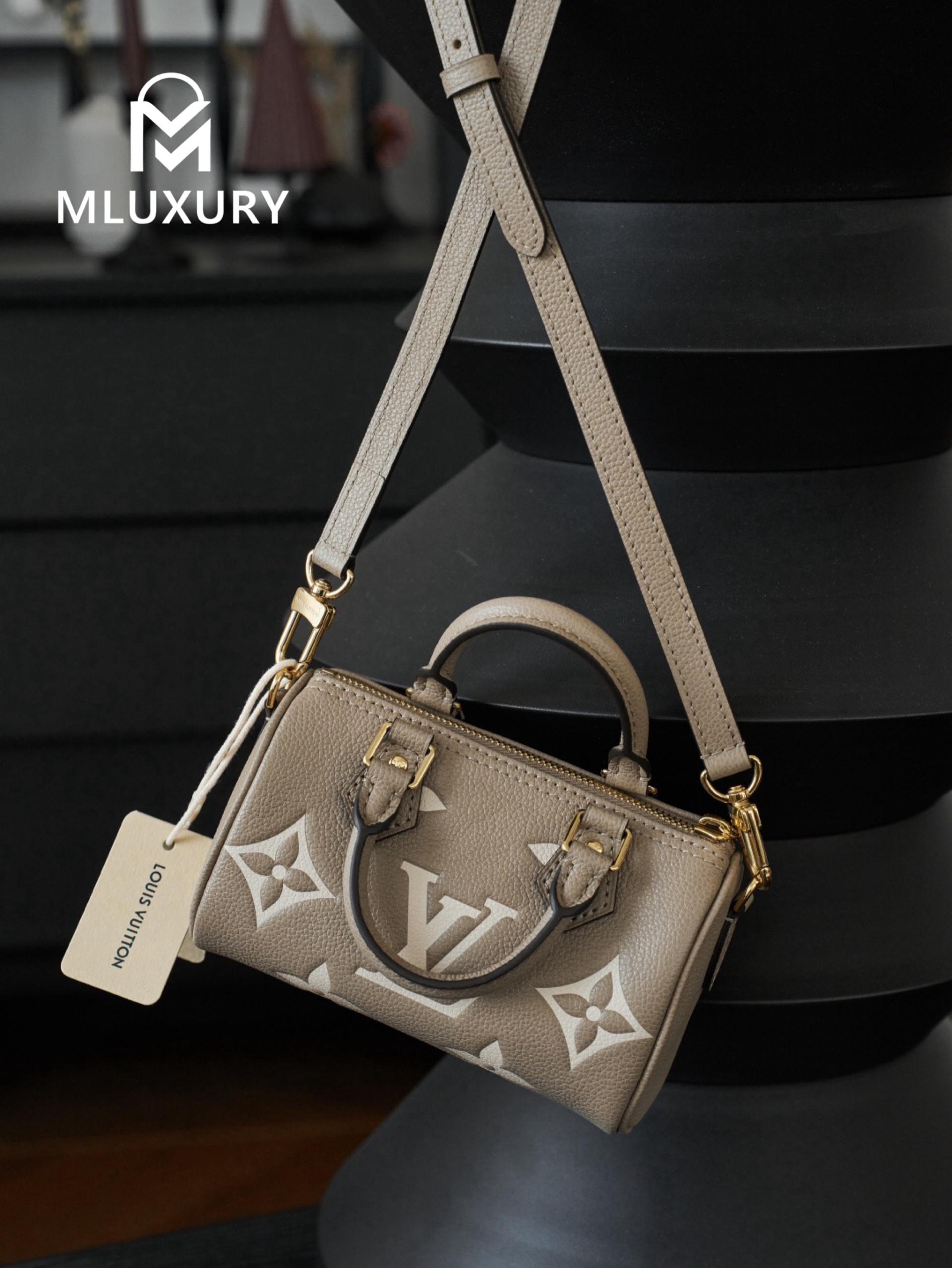 LOUIS VUITTON NANO SPEEDY Handbag, Elephant Grey