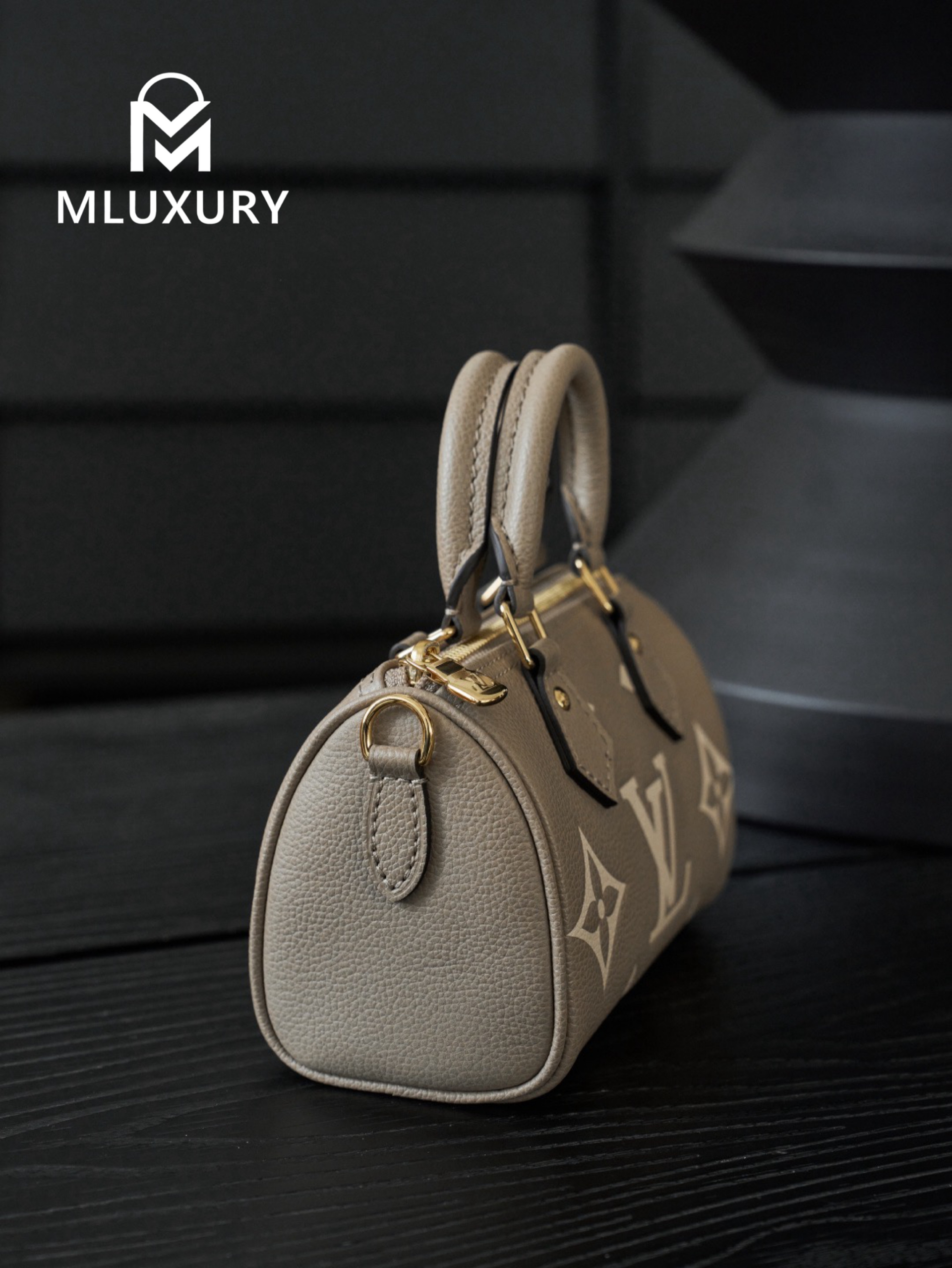 LOUIS VUITTON NANO SPEEDY Handbag, Elephant Grey