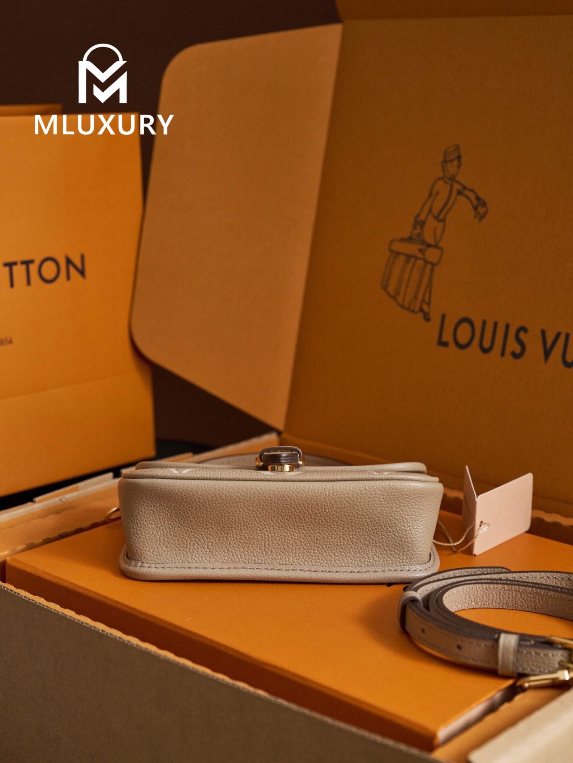 LOUIS VUITTON NANO DIANE Handbag, Elephant Grey