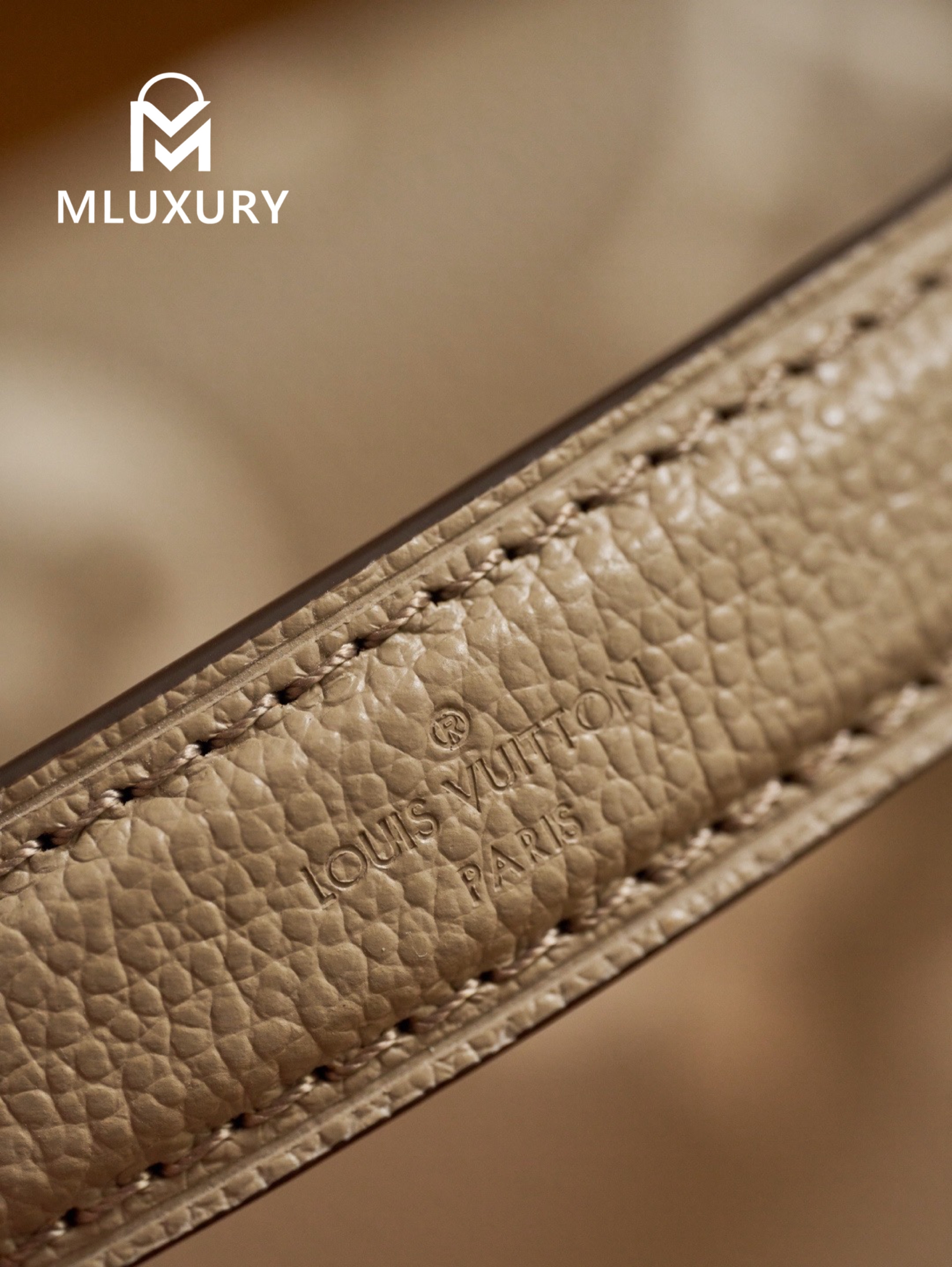 LOUIS VUITTON NANO DIANE Handbag, Elephant Grey
