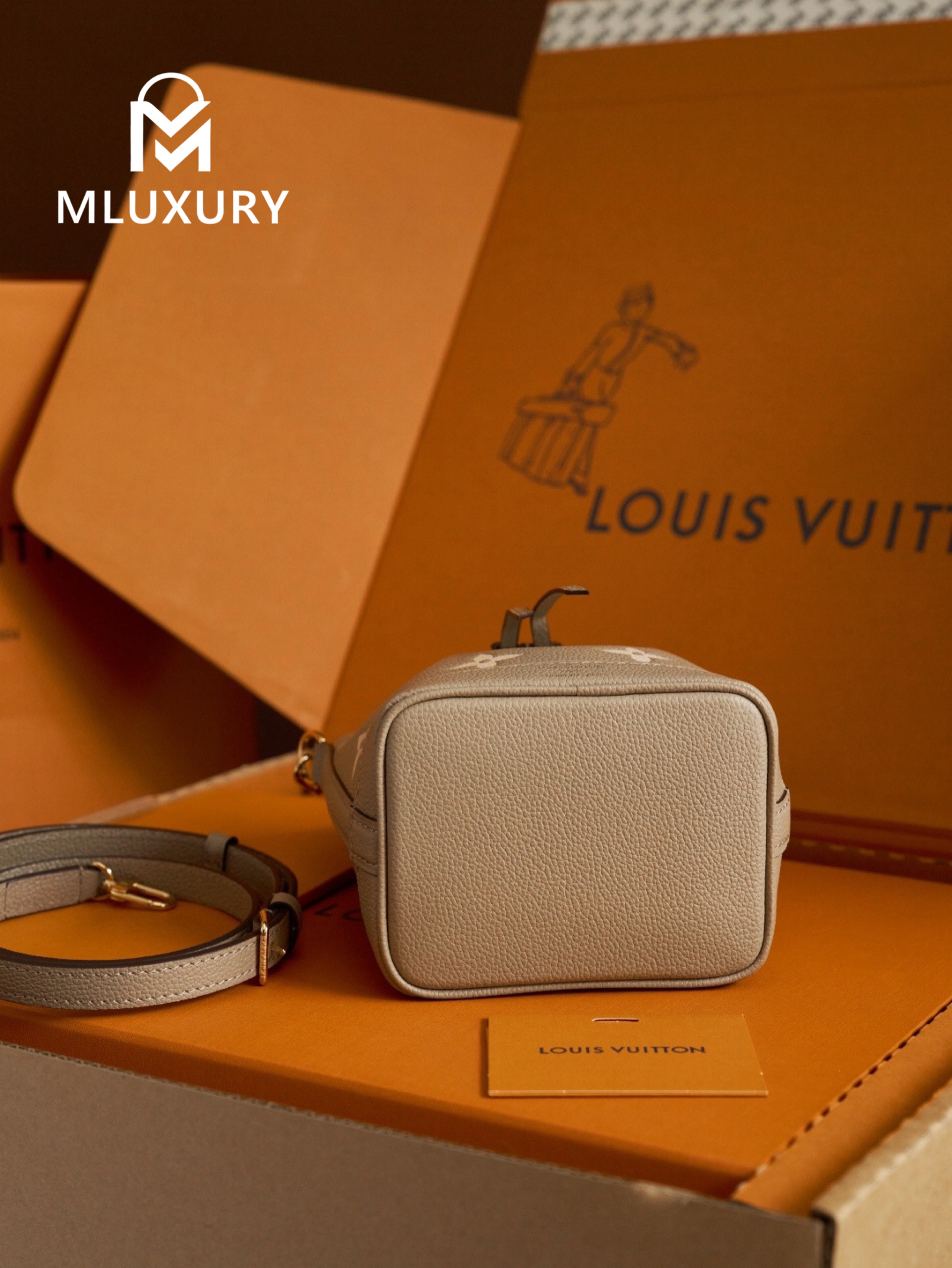 LOUIS VUITTON NANO NOE Handbag, Elephant Grey