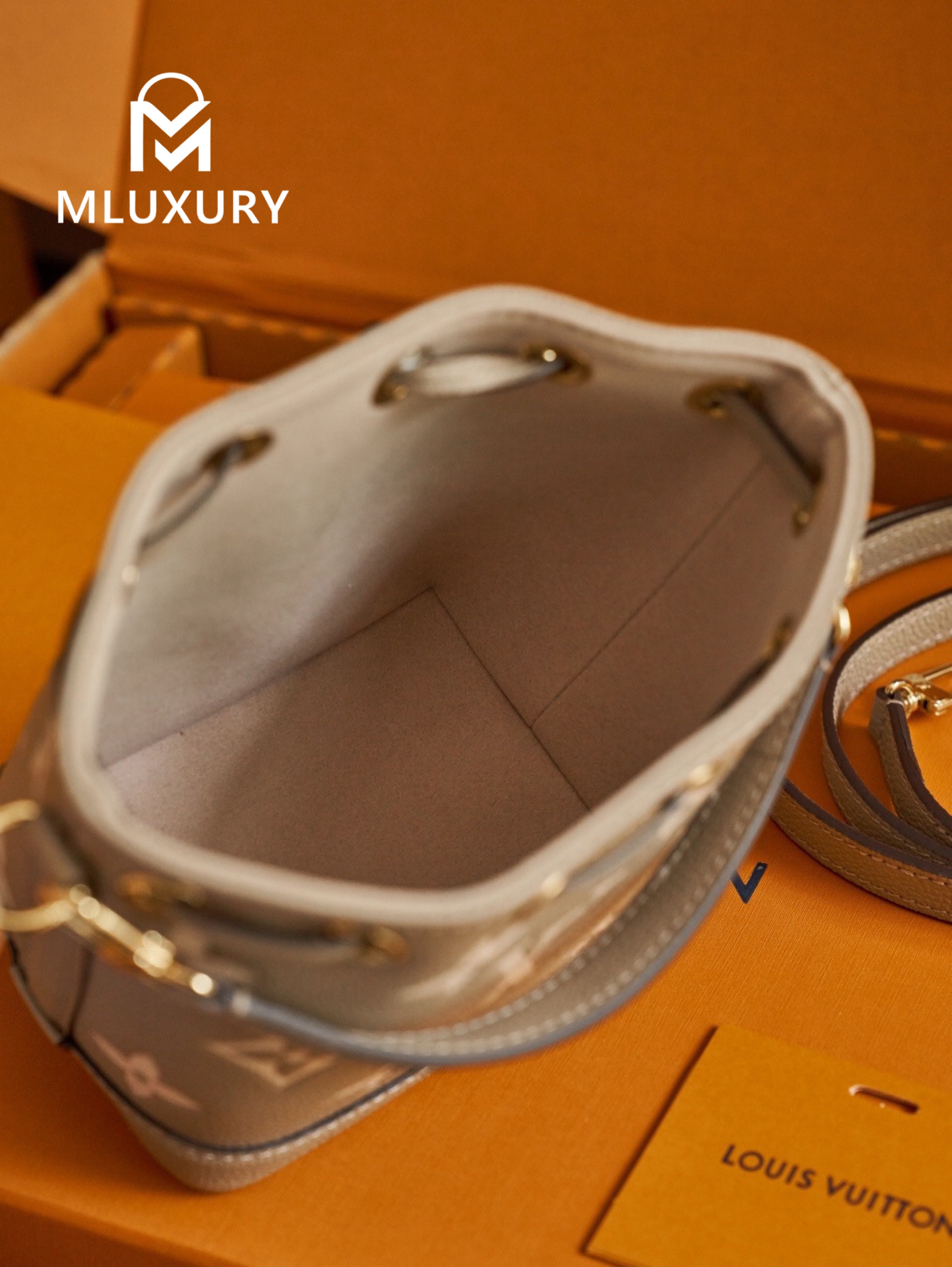 LOUIS VUITTON NANO NOE Handbag, Elephant Grey