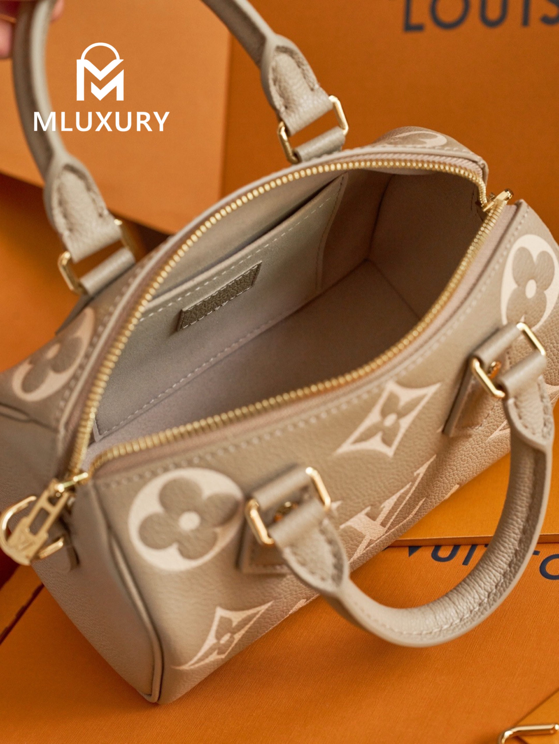 LOUIS VUITTON Speedy Bandoulière 20 Handbag, Elephant Grey