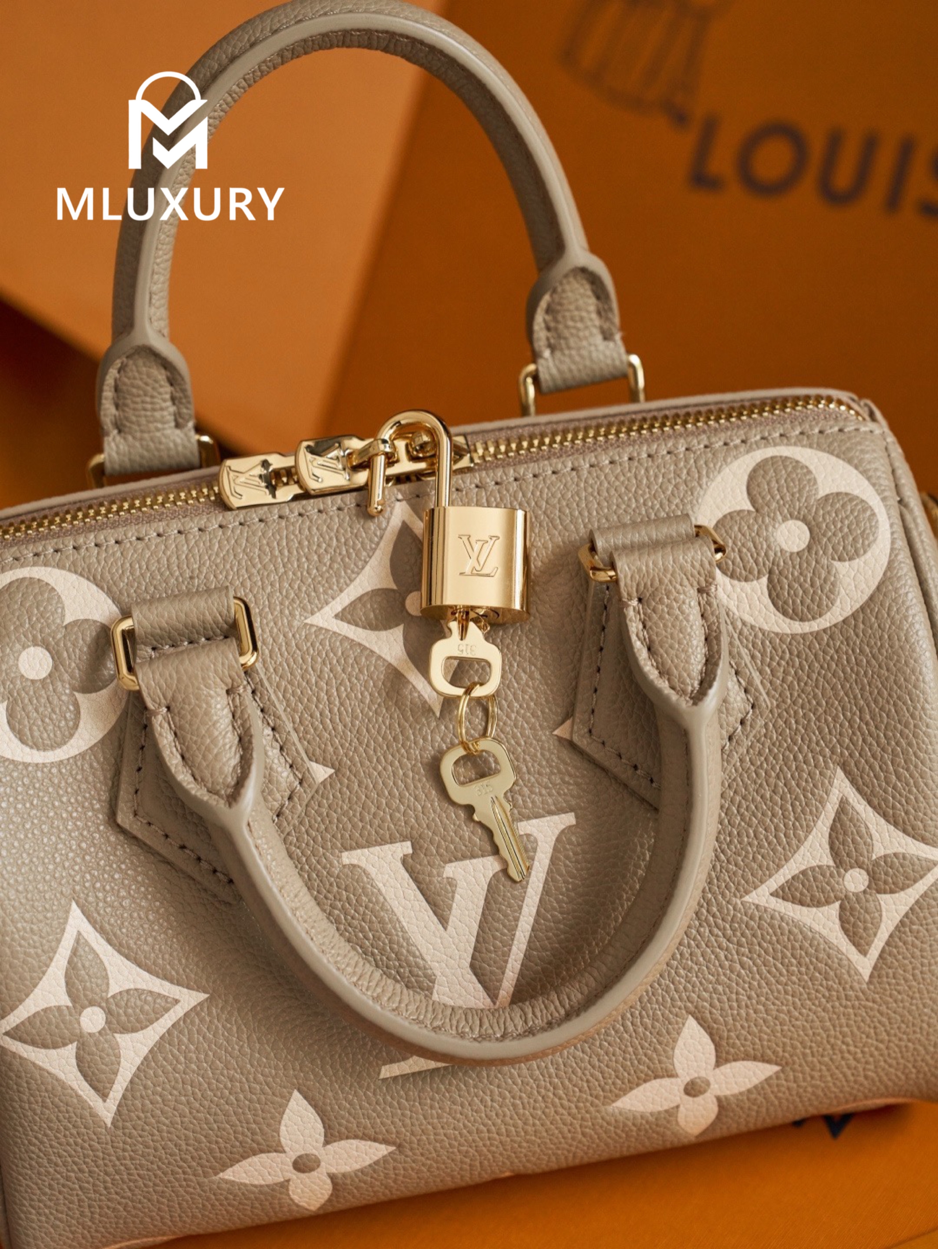 LOUIS VUITTON Speedy Bandoulière 20 Handbag, Elephant Grey