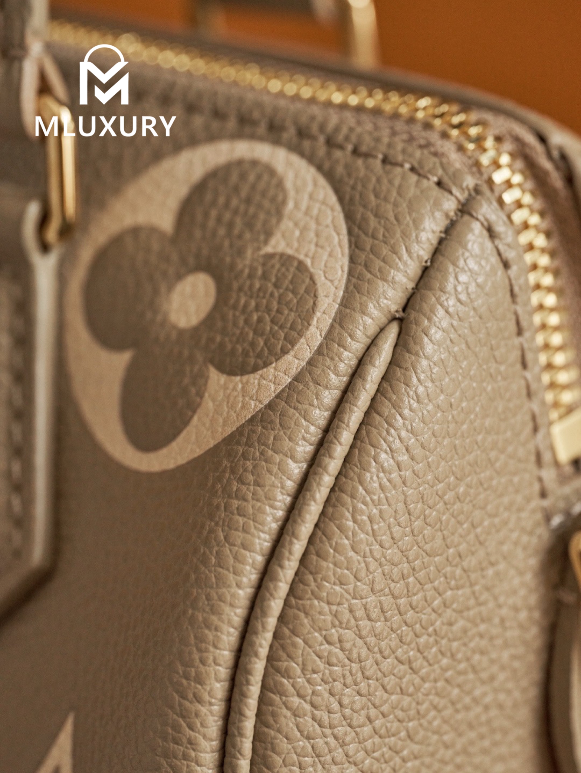 LOUIS VUITTON Speedy Bandoulière 20 Handbag, Elephant Grey