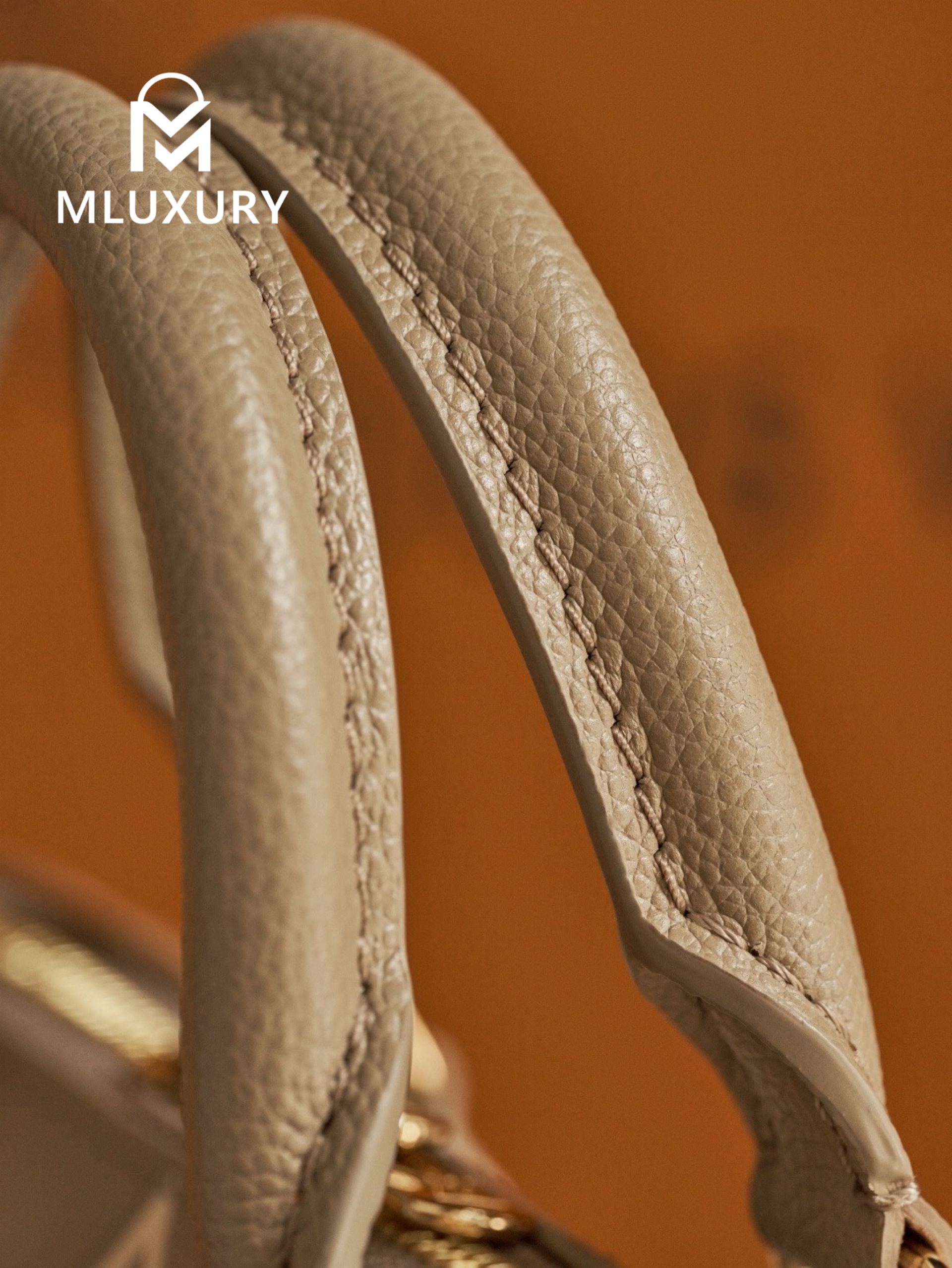 LOUIS VUITTON Speedy Bandoulière 20 Handbag, Elephant Grey