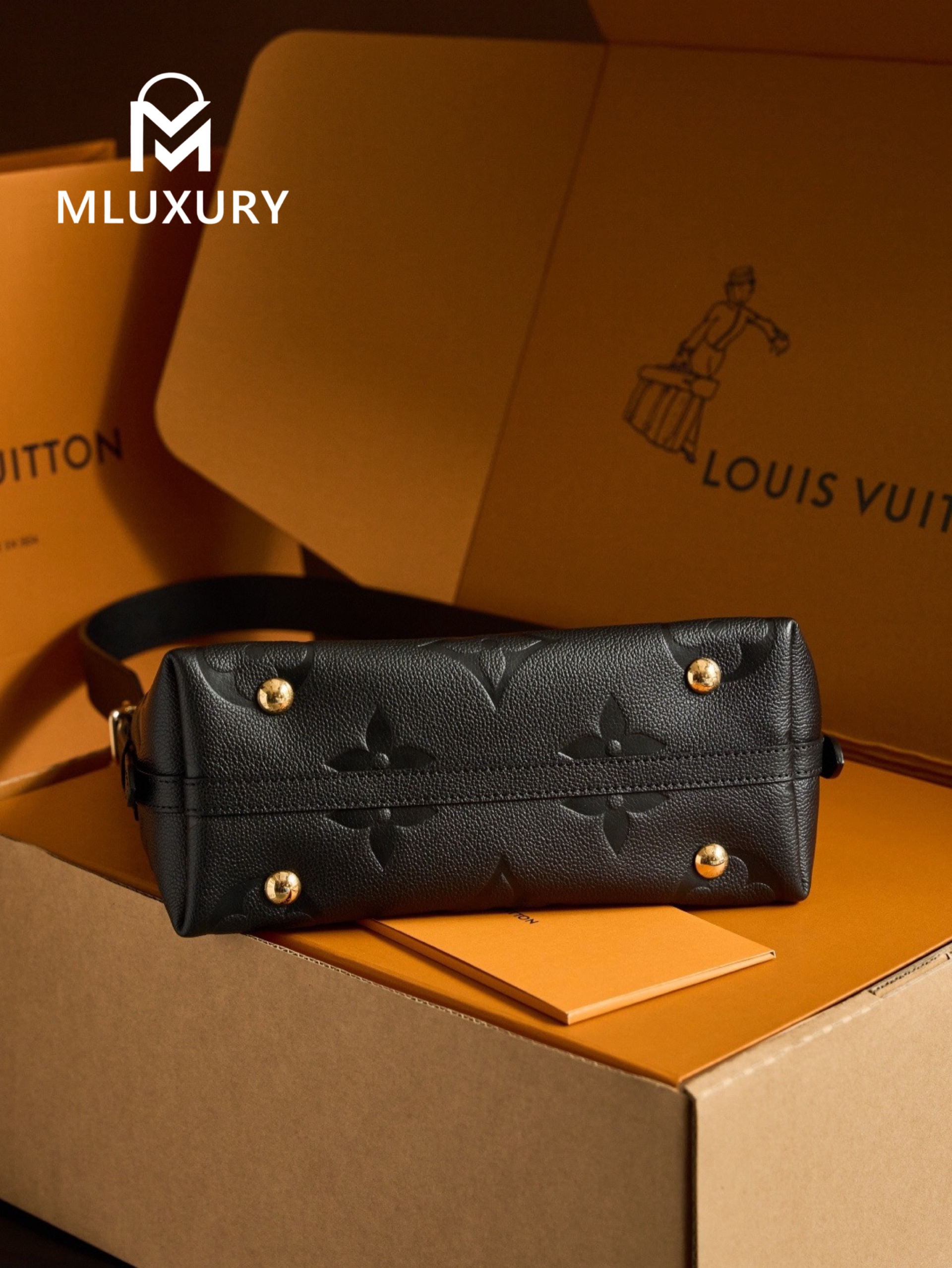 LOUIS VUITTON CARRYALL(small size), Black