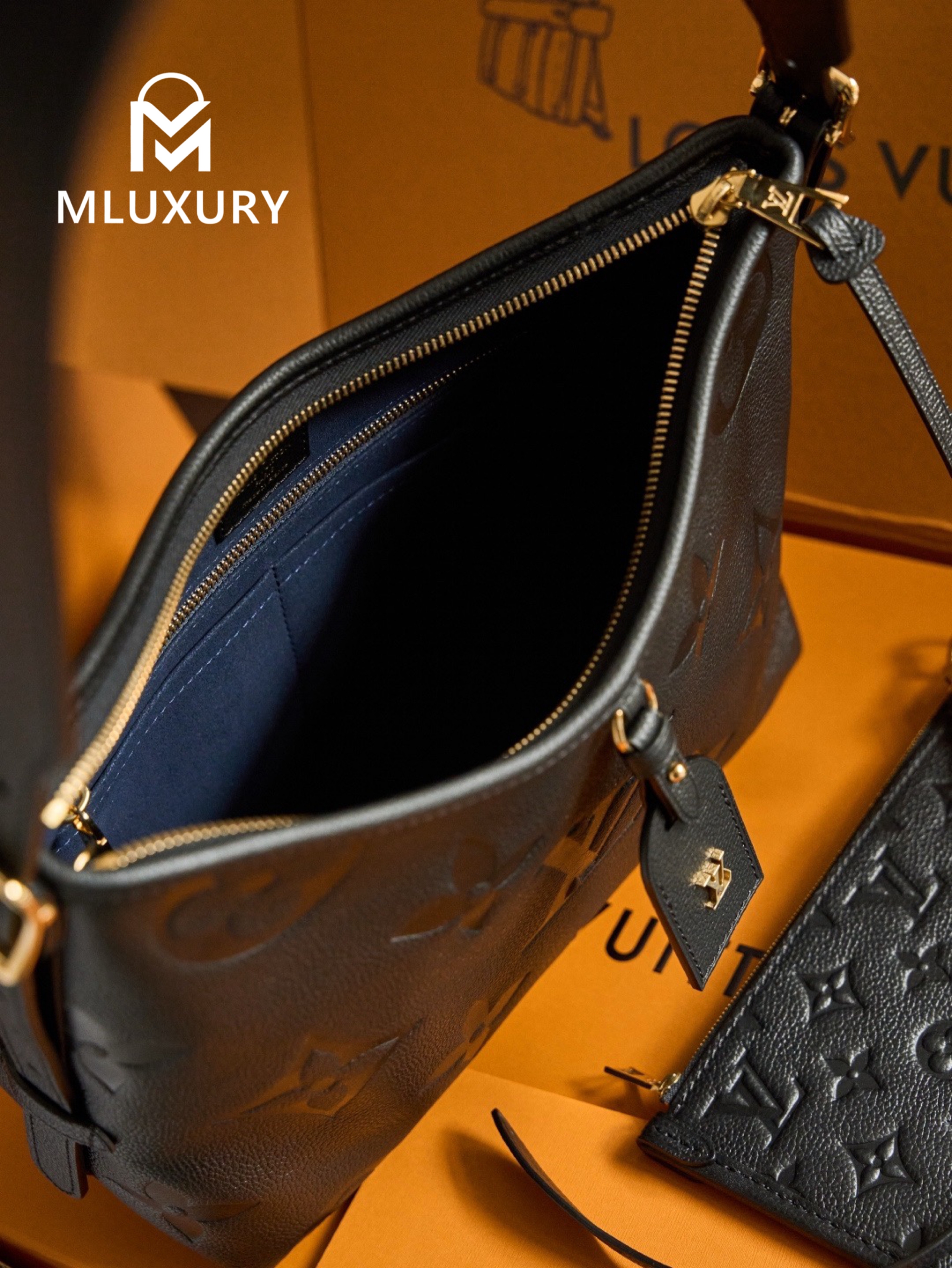 LOUIS VUITTON CARRYALL(small size), Black