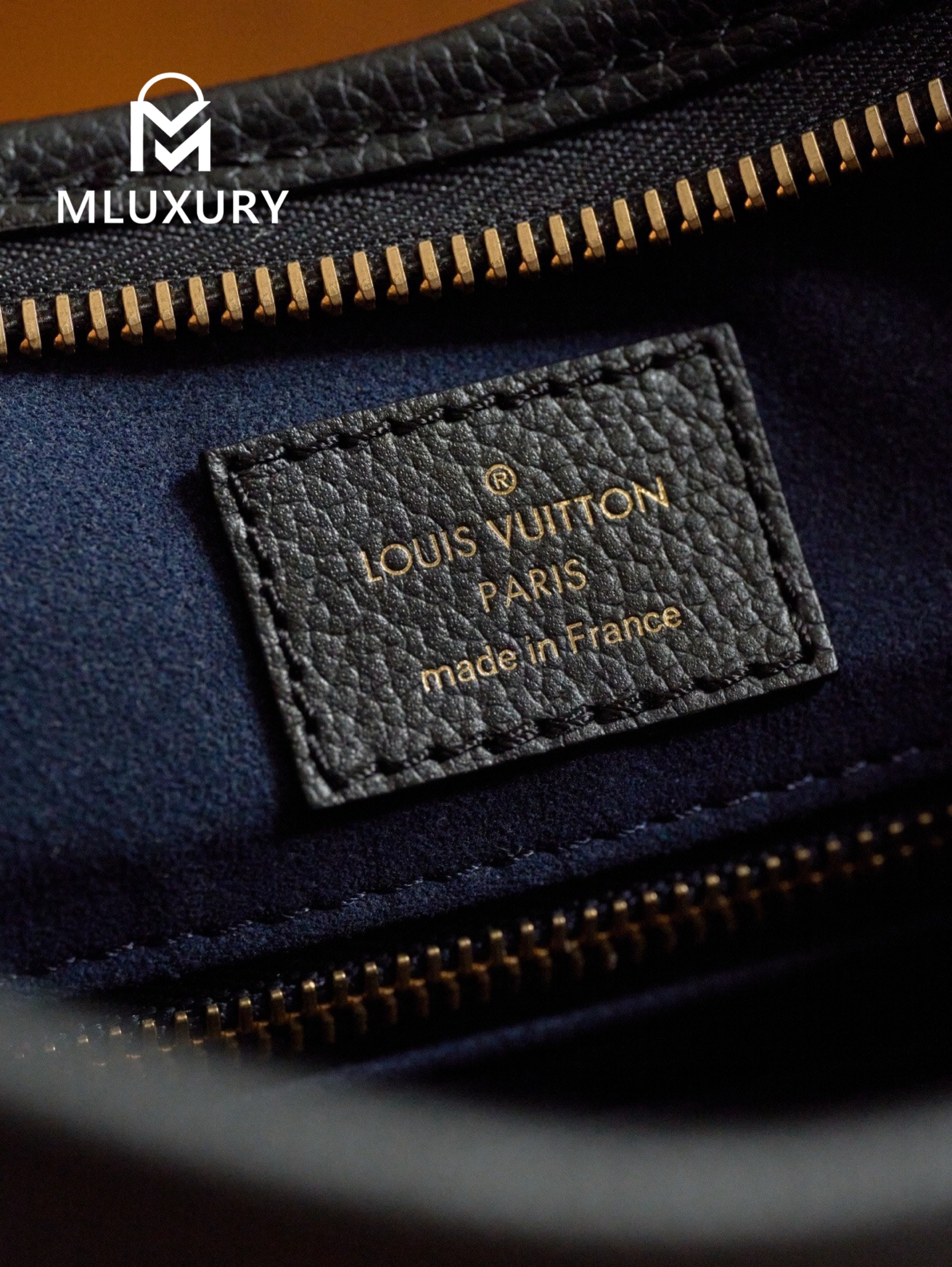 LOUIS VUITTON CARRYALL(small size), Black