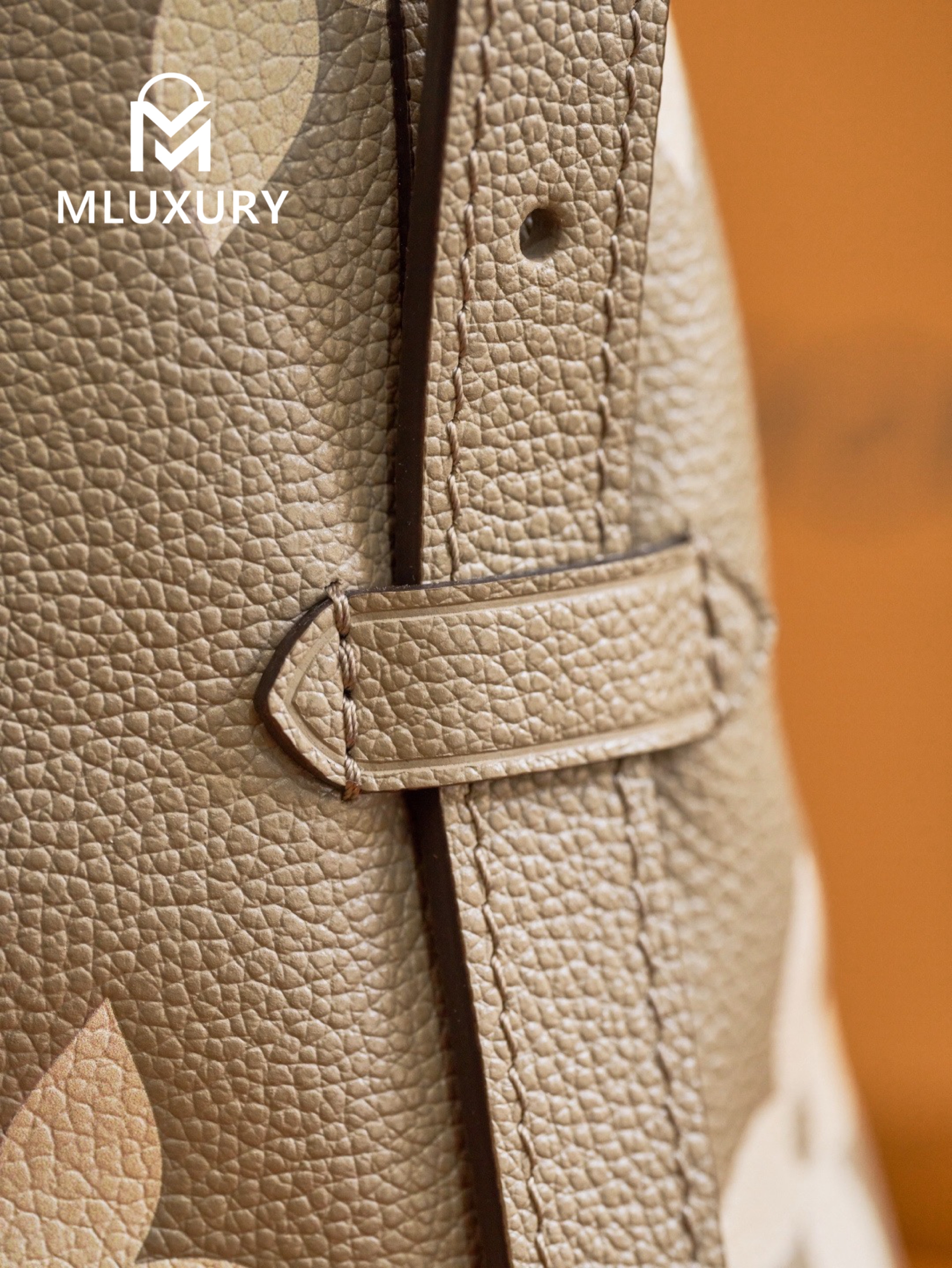 LOUIS VUITTON CARRYALL (Small Size), Elephant Grey